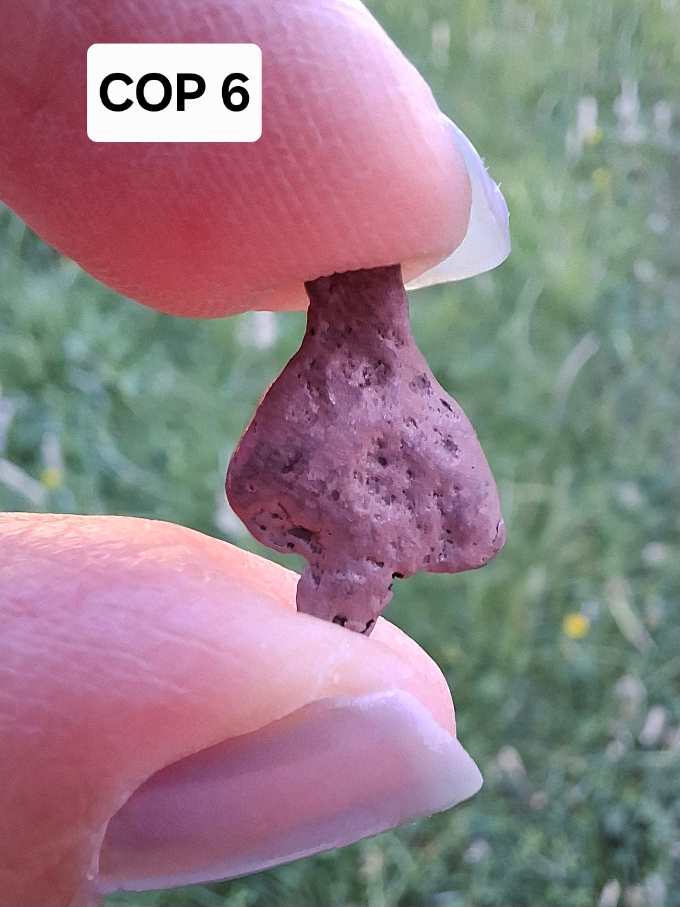 Native Copper Nugget, 0.76g, (Ref: COP6)