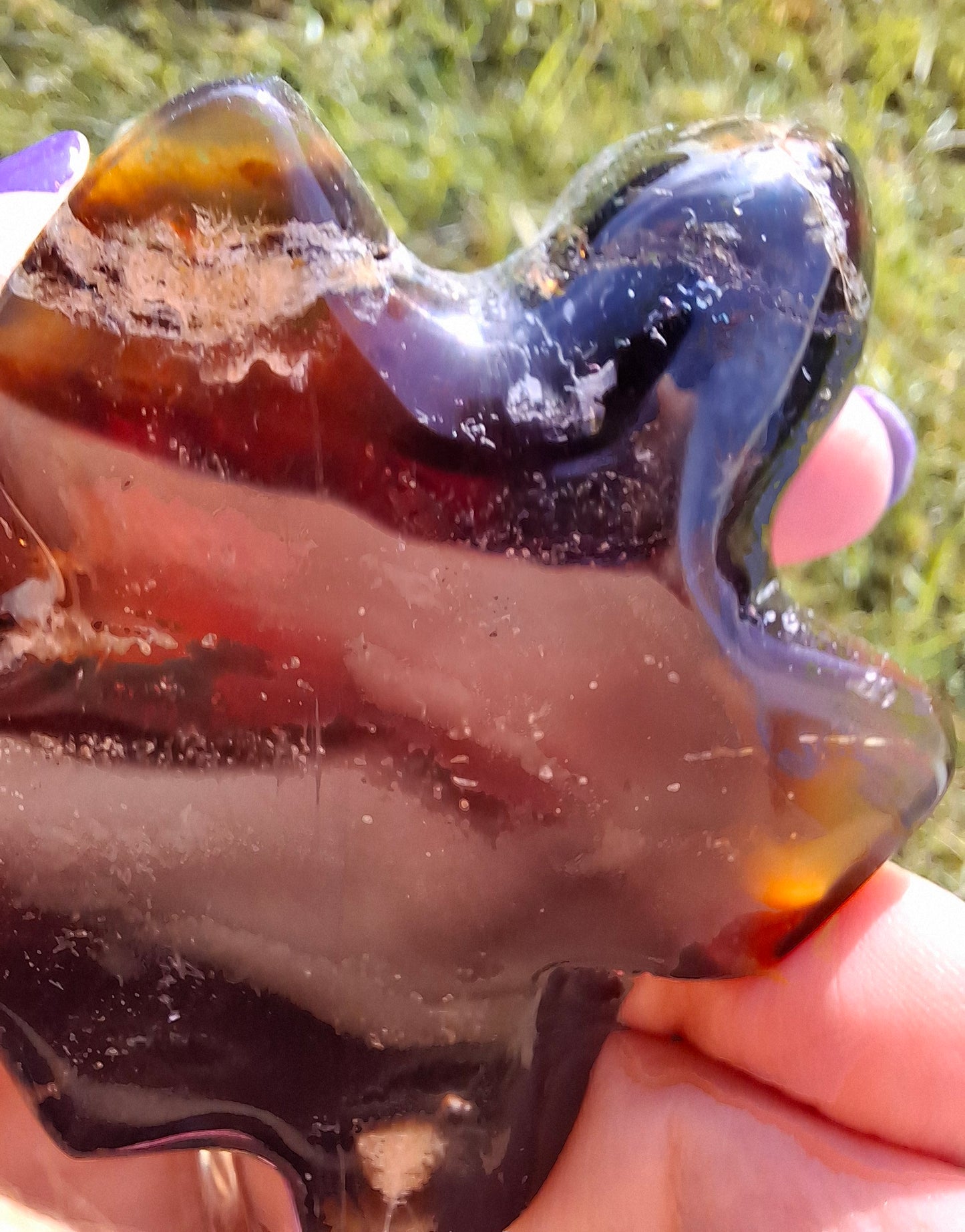 Red Amber Turtle, 56.87g, Carving, Fossil (Ref: TT2)