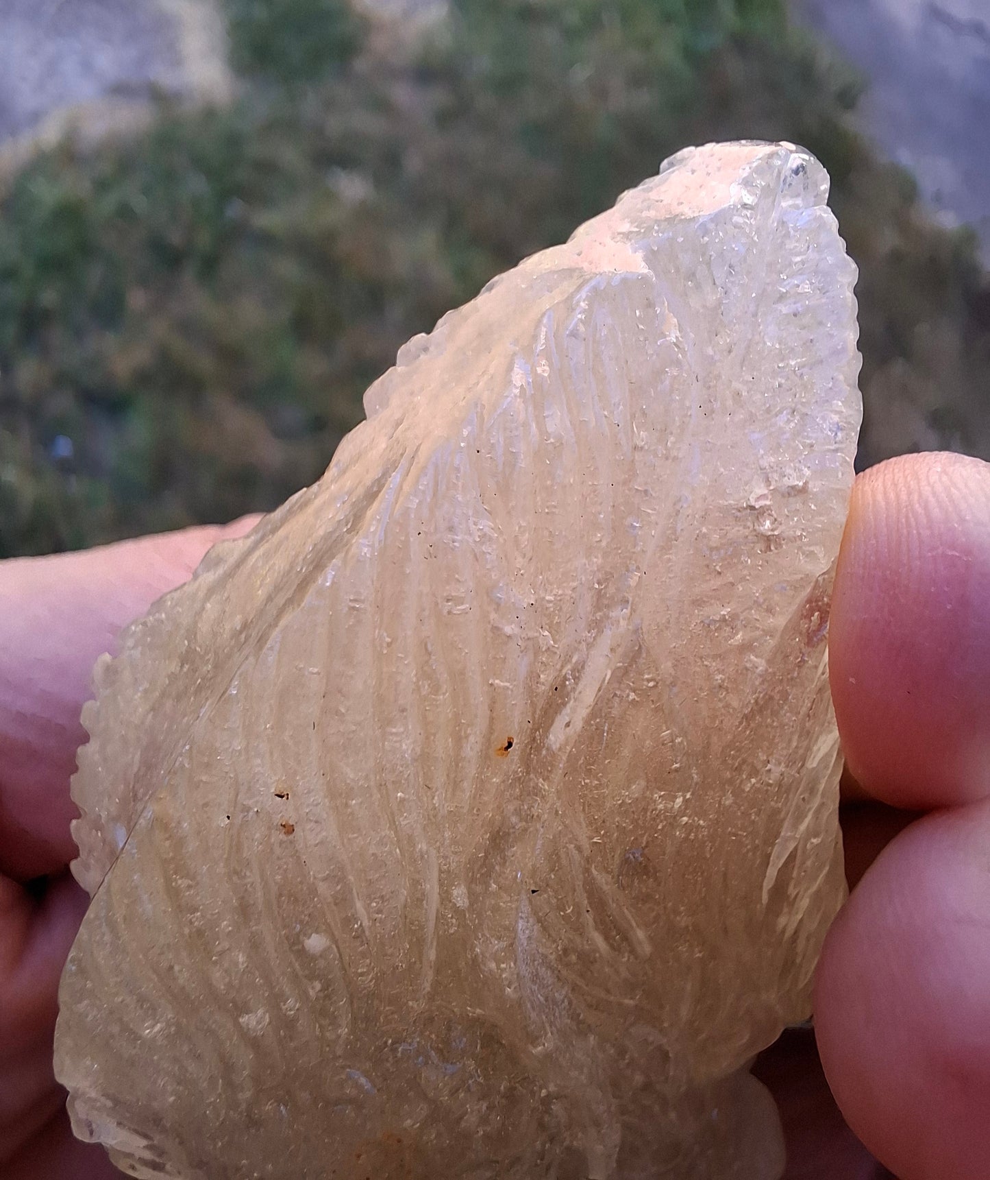 Libyan Desert Glass DRAGON HEAD Carving, 75.84g, Tektite (Ref: Dragon1)