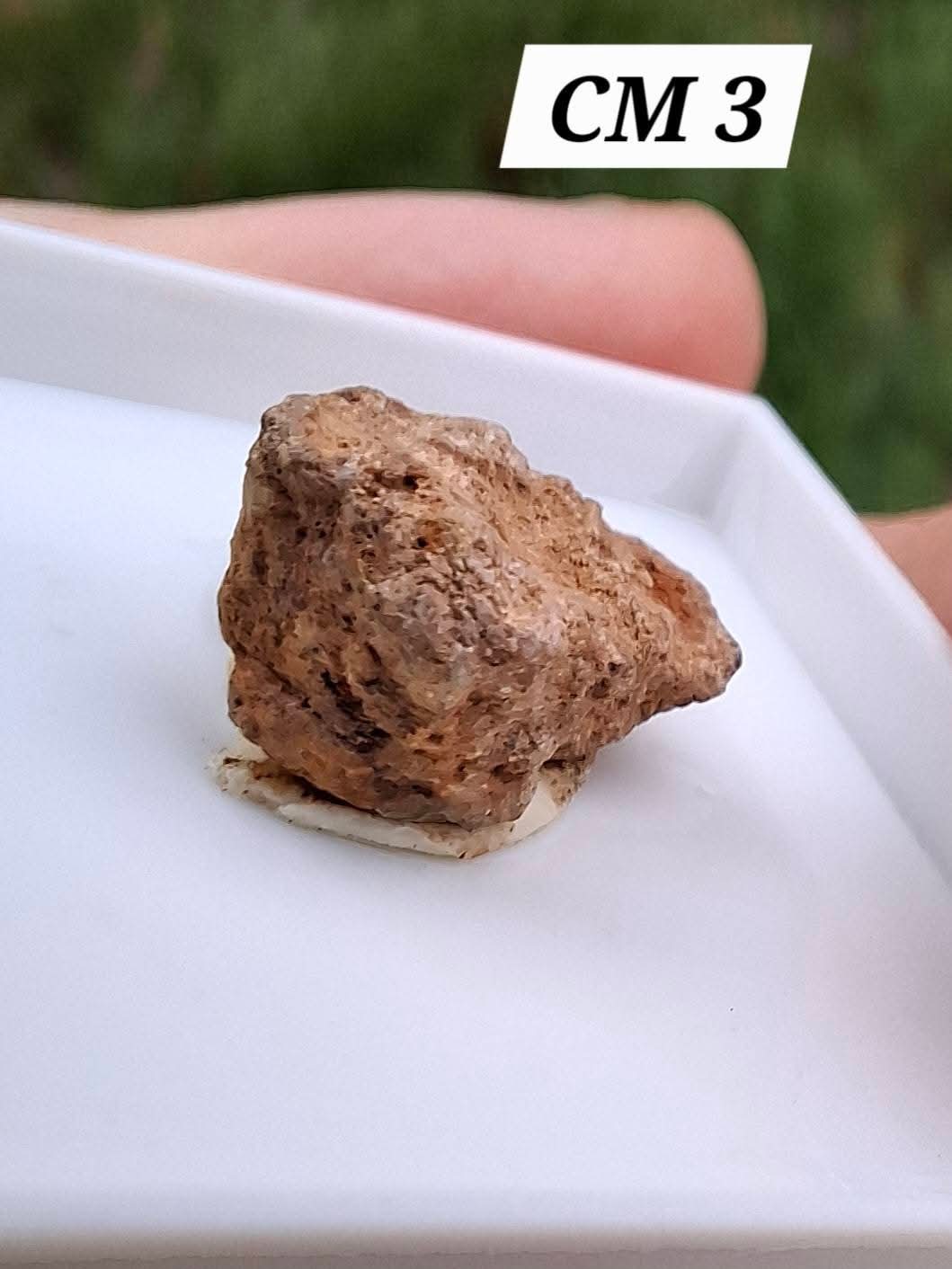 Chondrite, Meteorite (Ref: CM3)