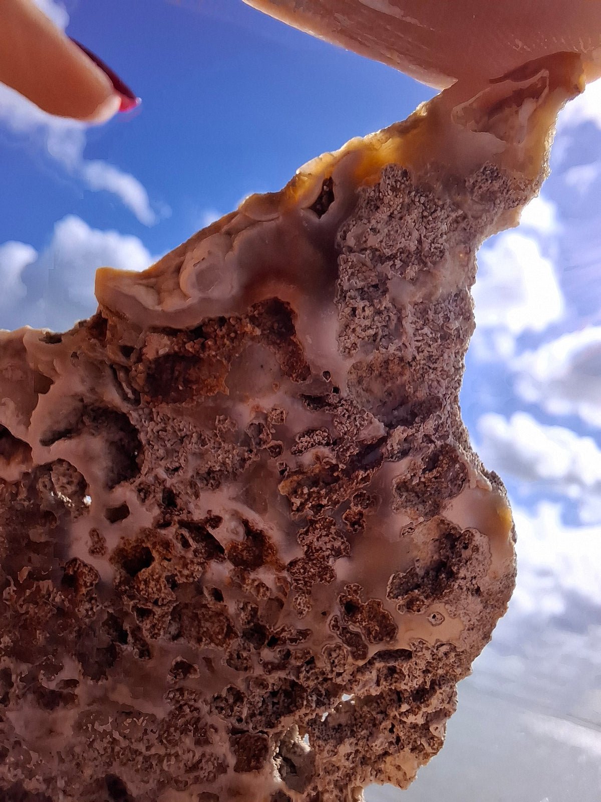 Fossilised Coral replaced by Chalcedony/Agate, Fossil (Ref: FCA2)