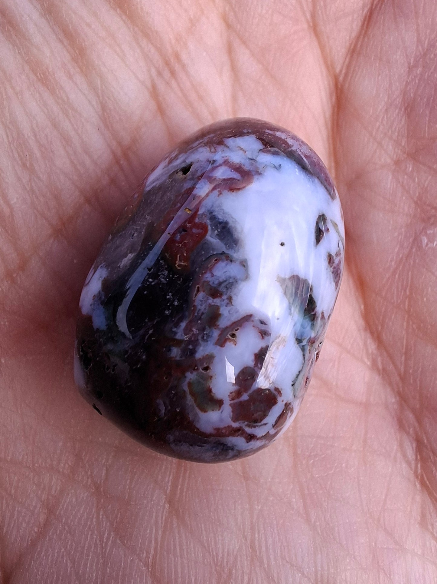 Ocean Jasper, Tumble Stone, Crystal (Ref: T198)