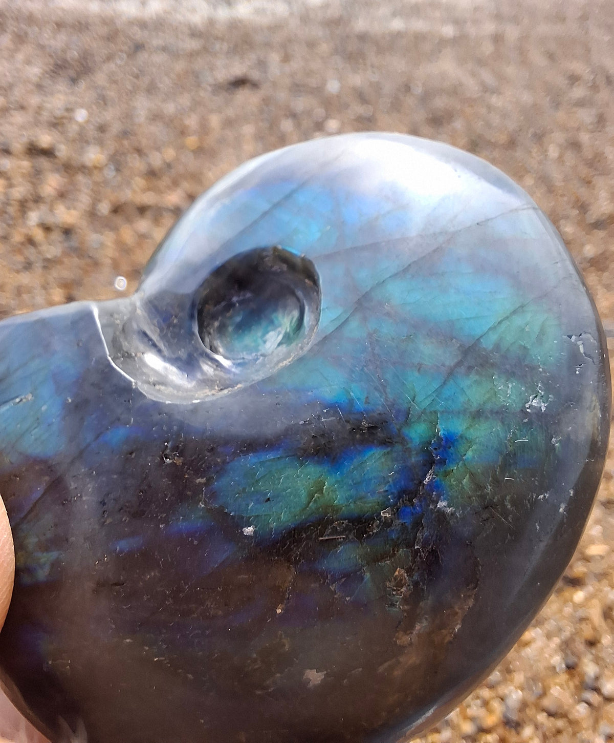 Labradorite Ammonite carving, 96.88g, Crystal (Ref: laba1)
