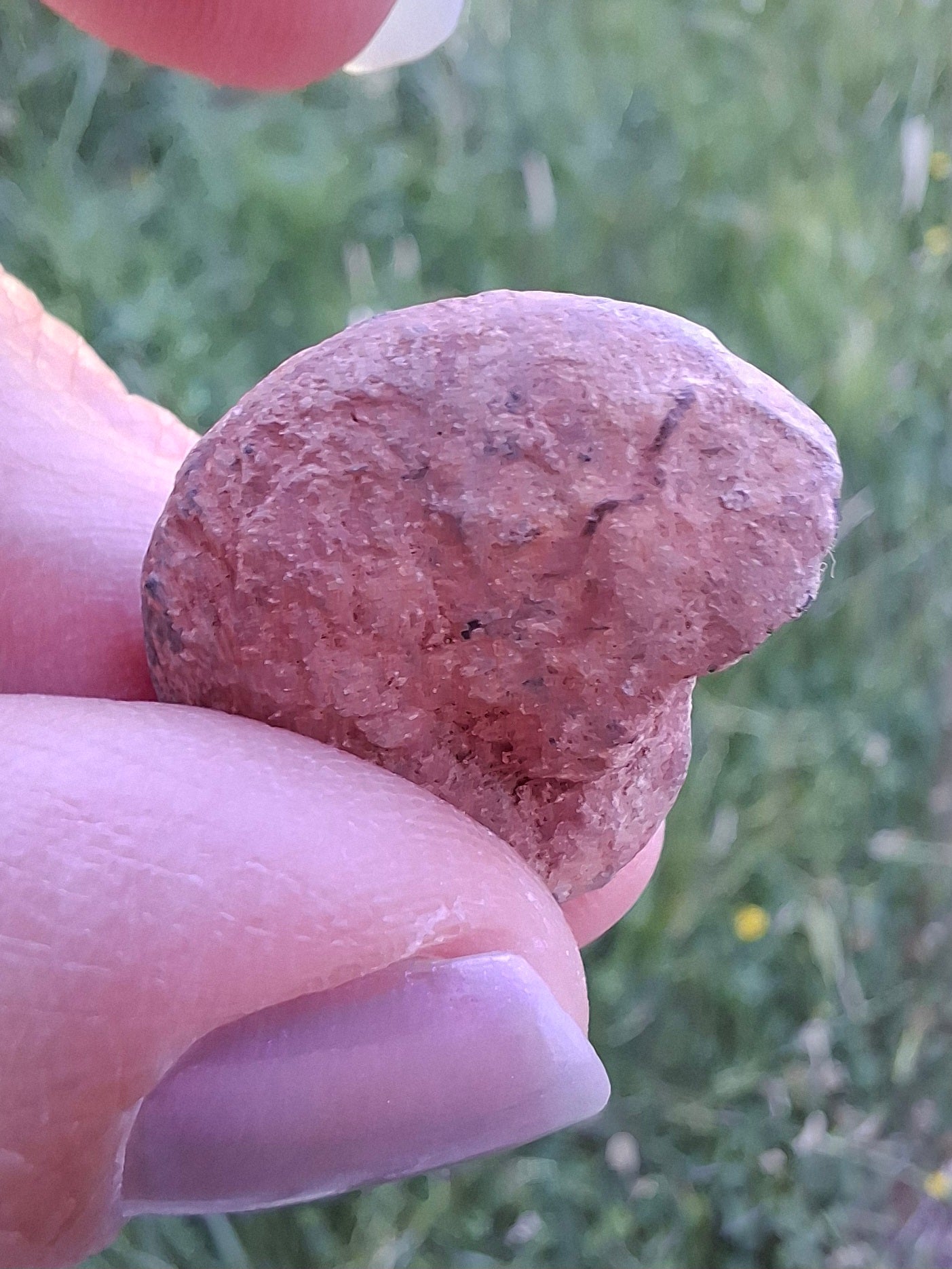 Small Haematite Ammonite HALF, 2.59g, Fossil (Ref: MA7)