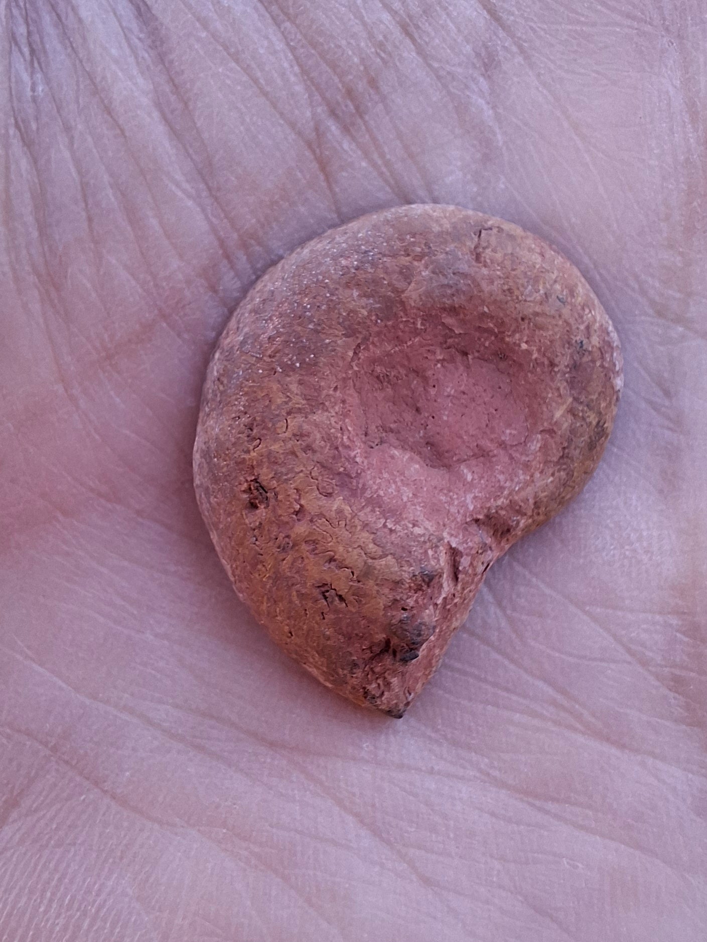 Small Haematite Ammonite HALF, (2.91g), Fossil (Ref: MA1)