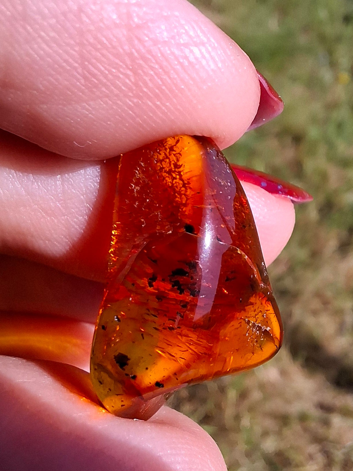 Baltic Amber, 1.47g, Fossil (Ref: A238)