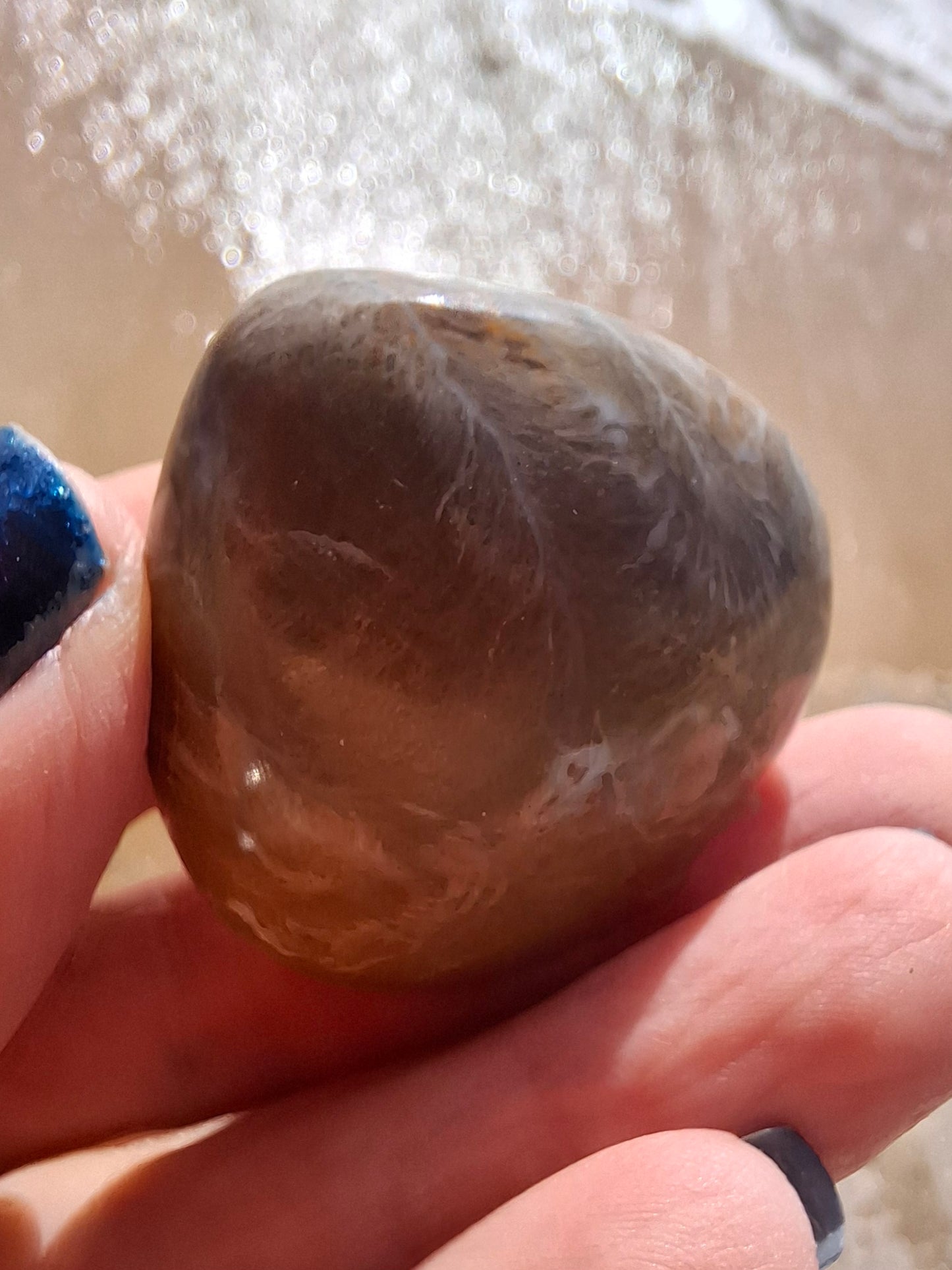 Fossil Coral Heart, (Ref:CoH1)