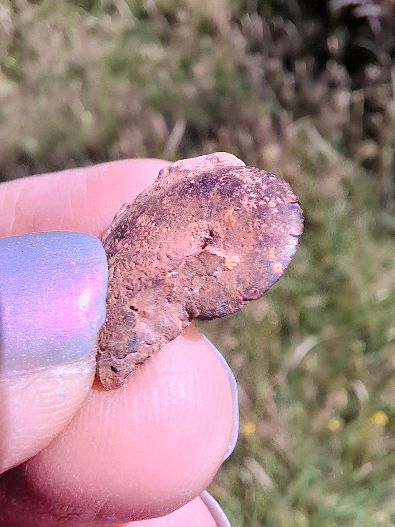 Small Haematite Ammonite HALF, 1.32g, Fossil (Ref: MA5)