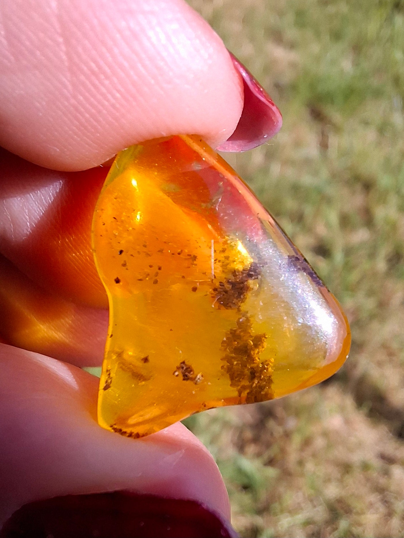 Baltic Amber, 0.91g, Fossil (Ref: A240)