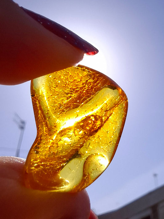 Baltic Amber, 1.07g, Fossil (Ref: A98)