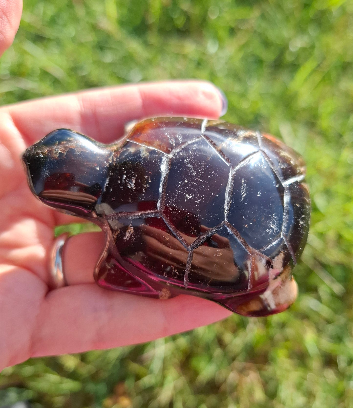 Red Amber Turtle, 56.87g, Carving, Fossil (Ref: TT2)