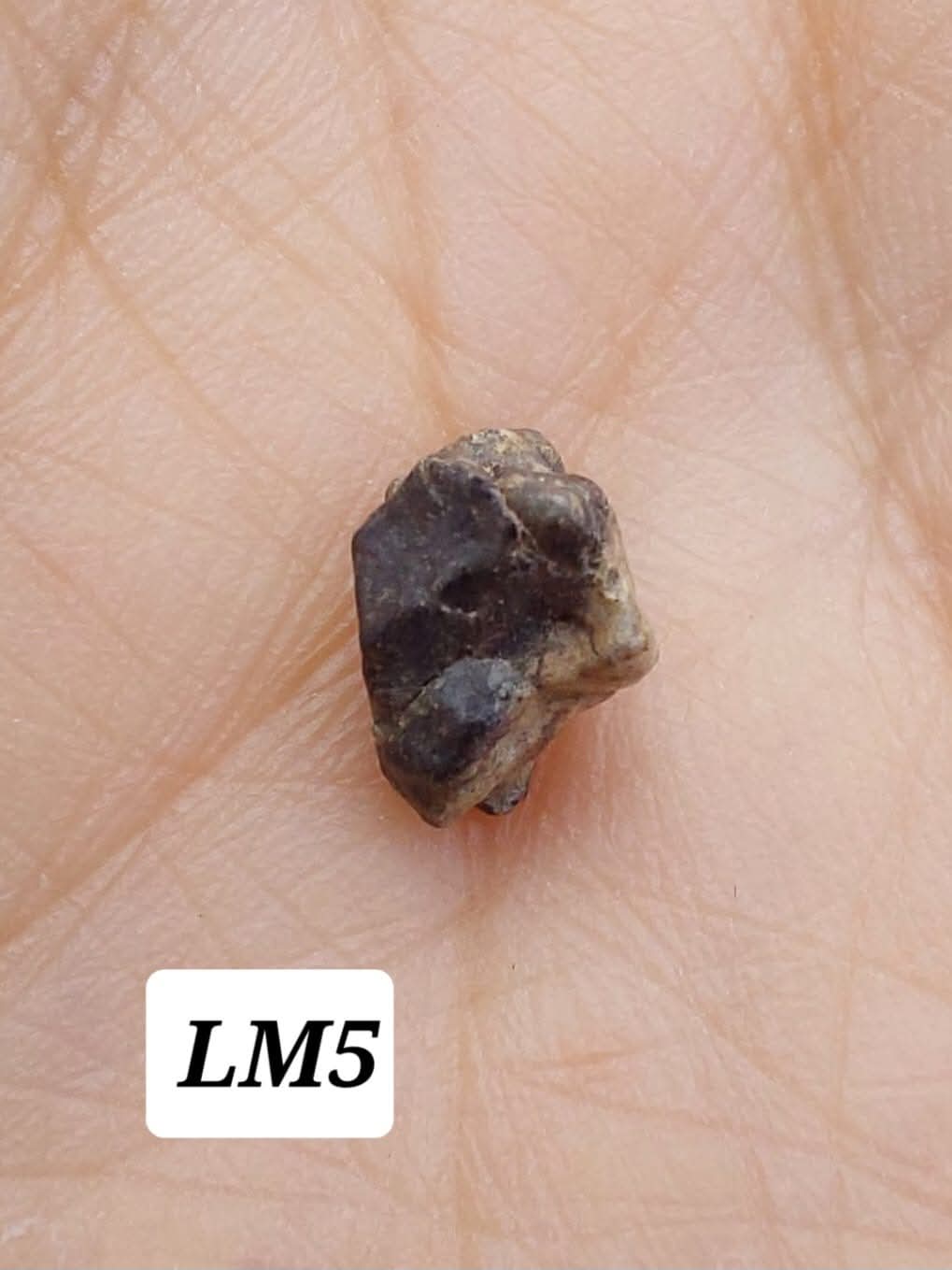 Lunar Meteorite, 0.32g, 'Moon Rock' (Ref: LM5)