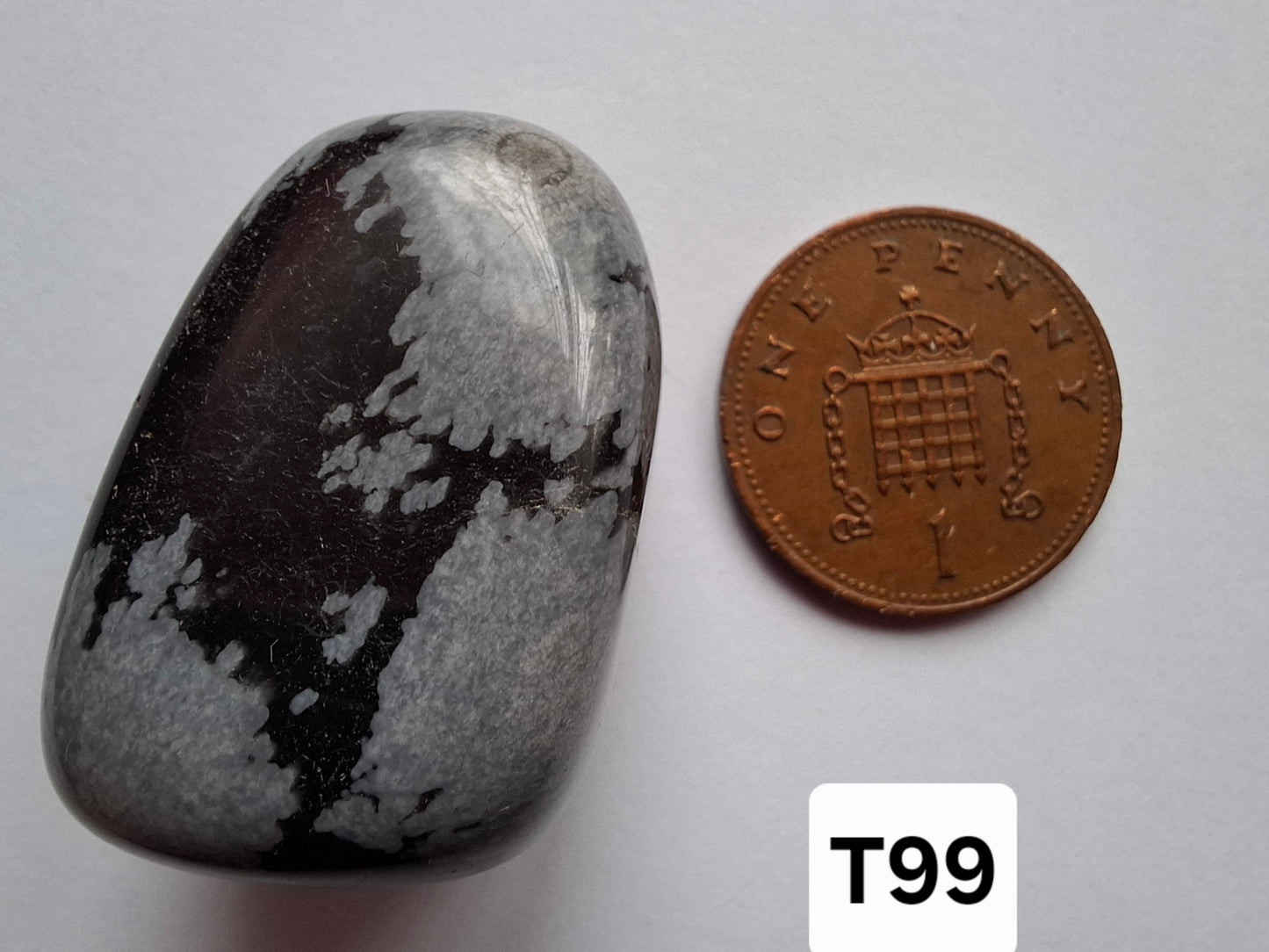 Snowflake Obsidian, Tumble Stone, Crystal (Ref: T99)