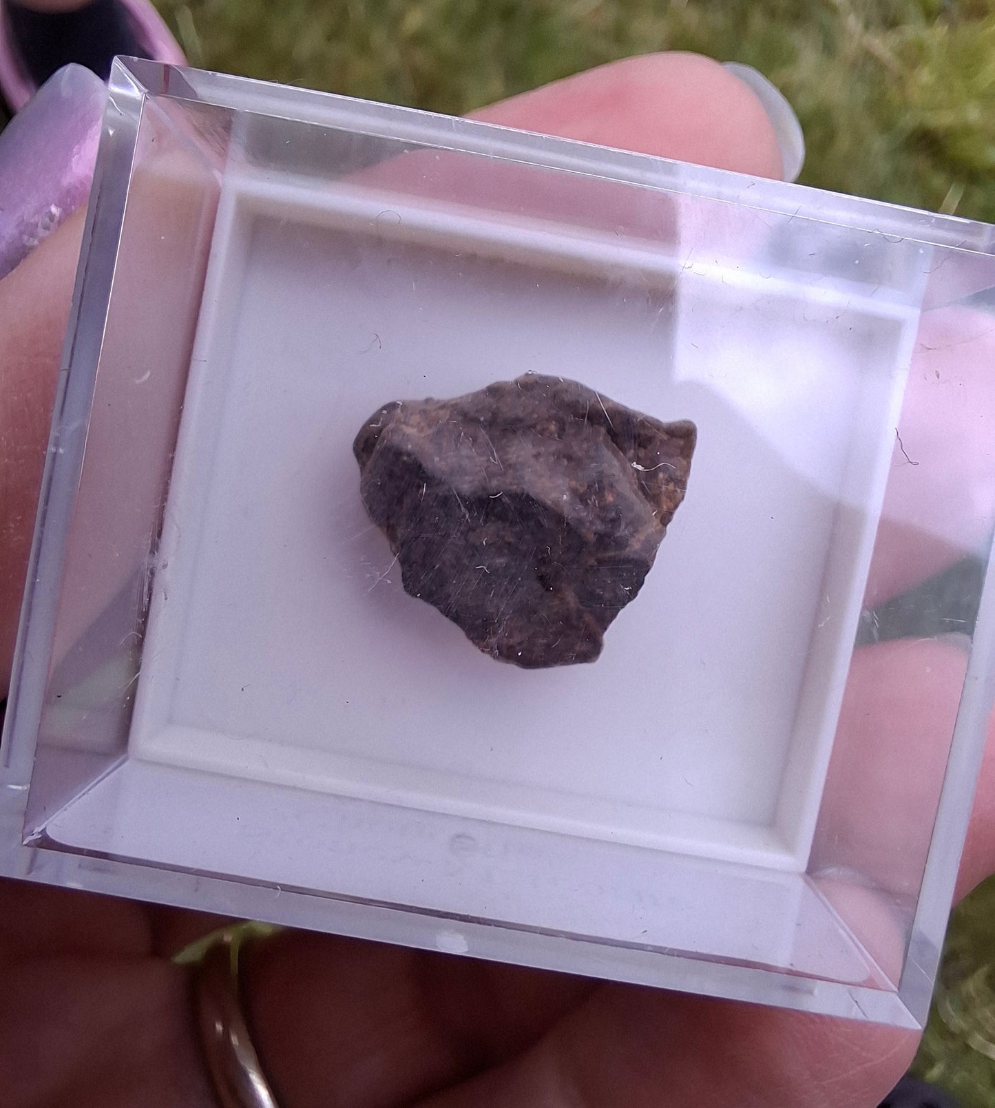 Chondrite, Meteorite (Ref: CM10)