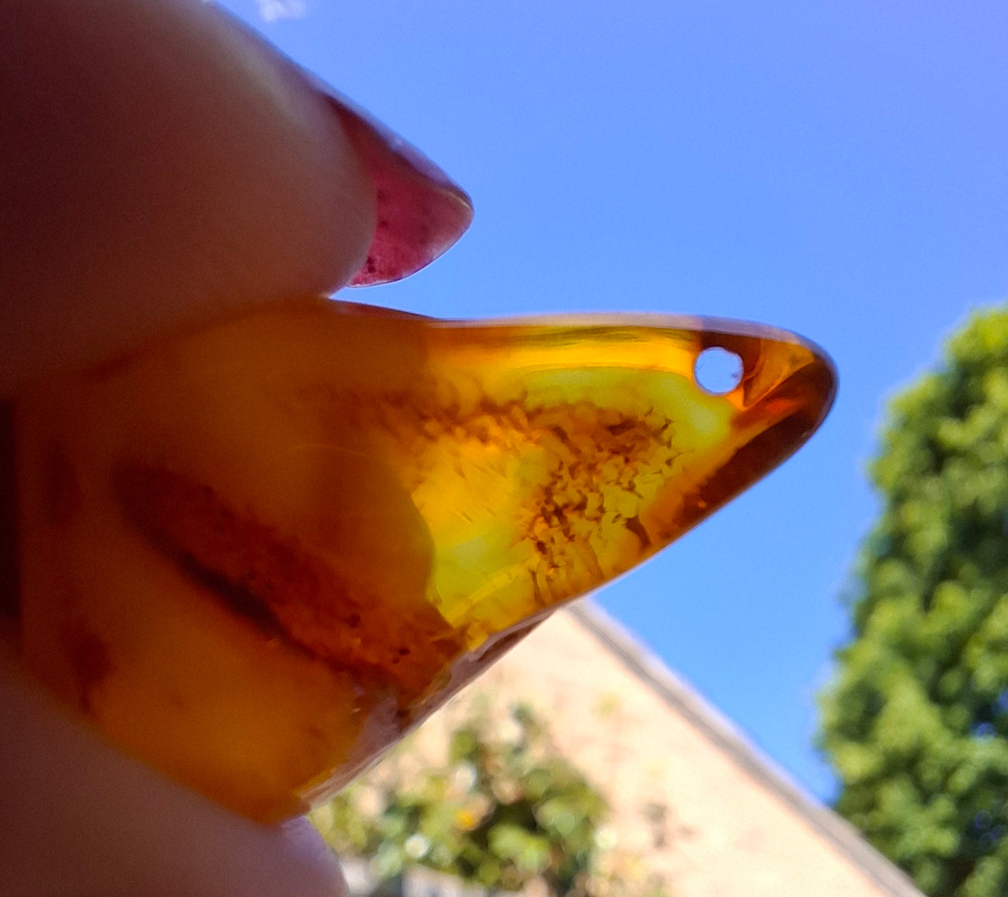 Baltic Amber, 1.52g, Fossil (Ref: A189)