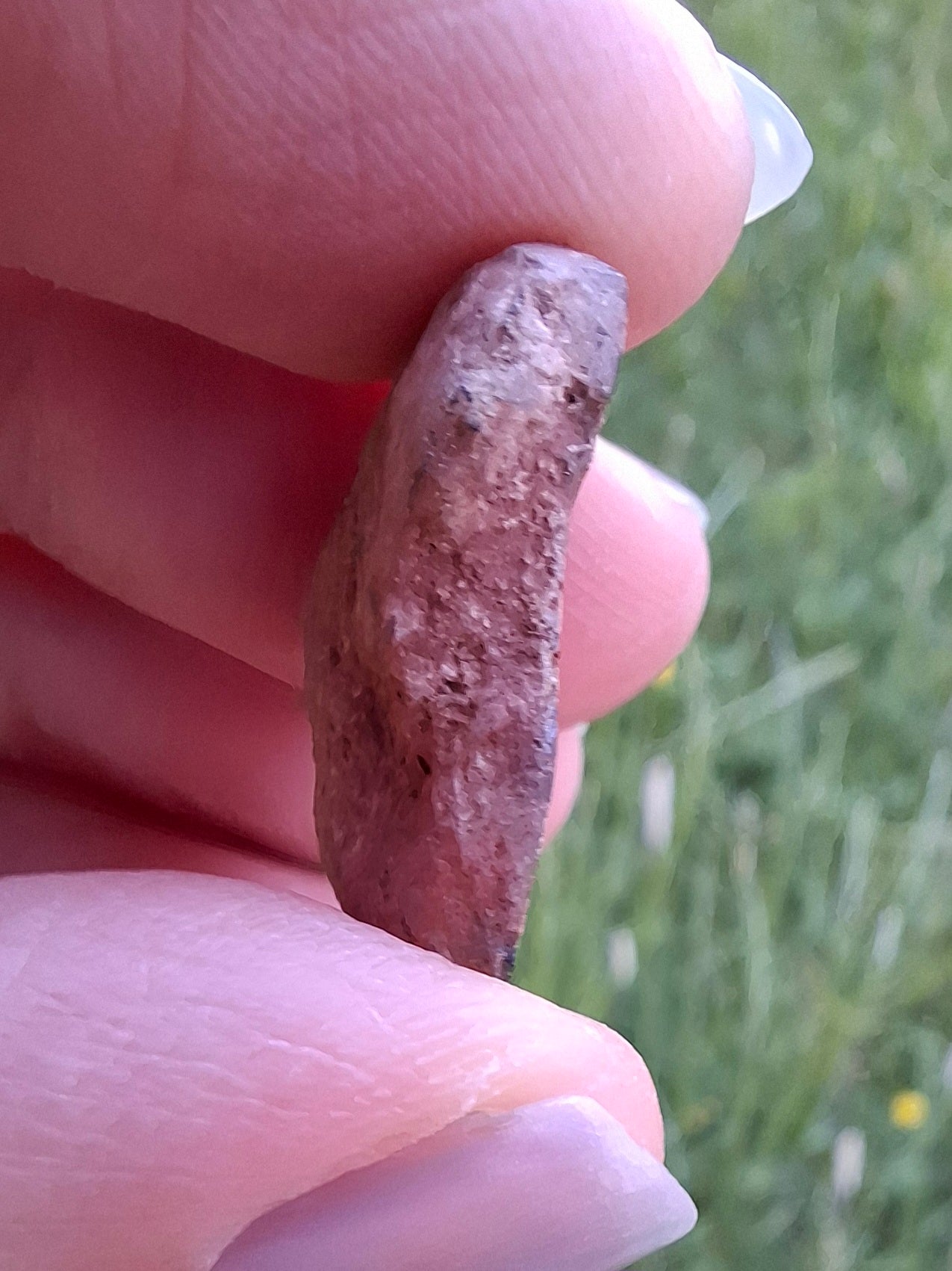 Small Haematite Ammonite HALF, 2.59g, Fossil (Ref: MA7)