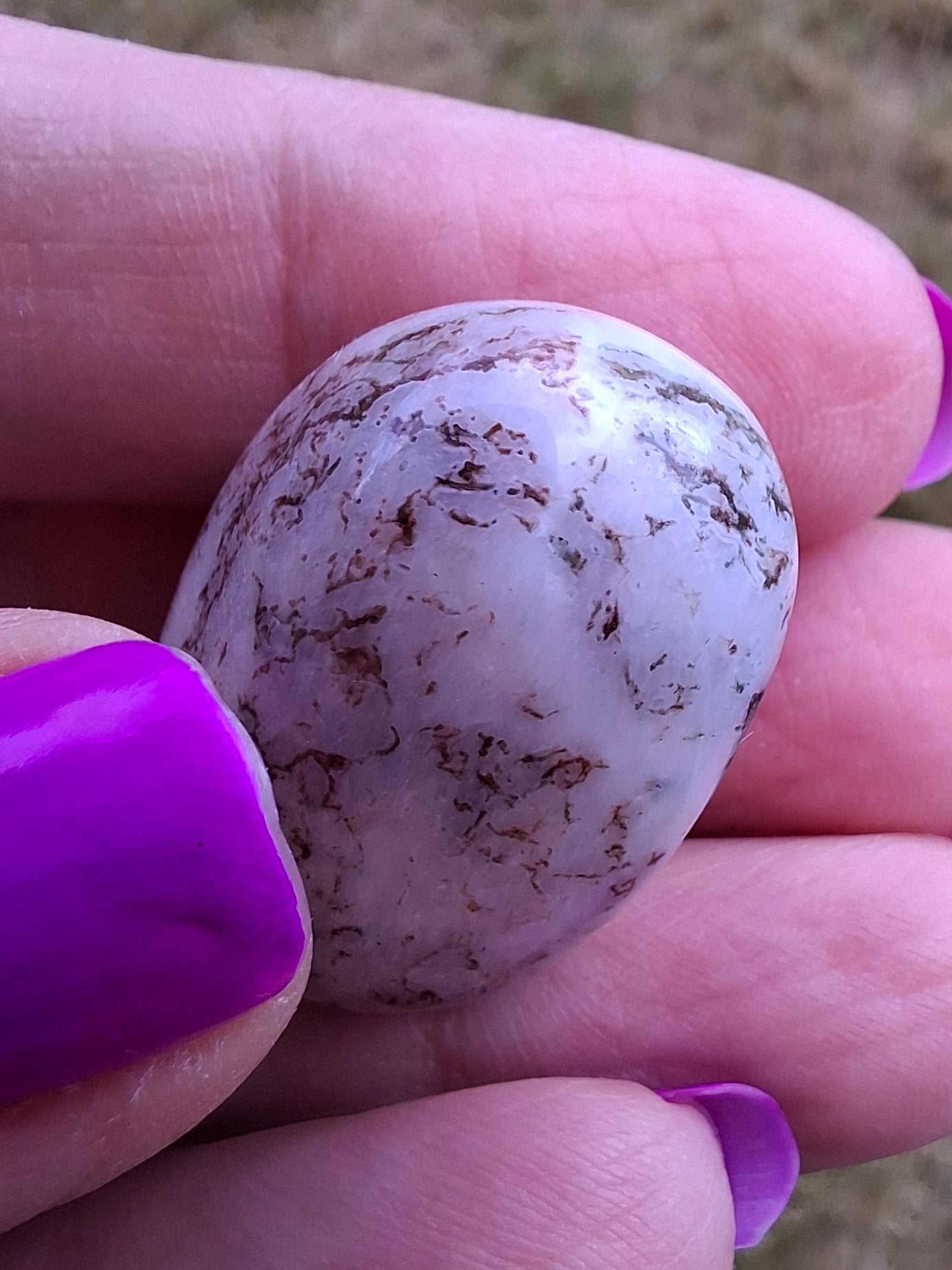 Tree Agate, Tumble Stone, Crystal (Ref: T6)