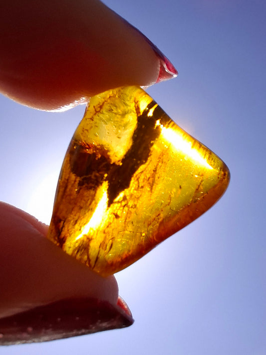 Baltic Amber, 1.61g, Fossil (Ref: A186)