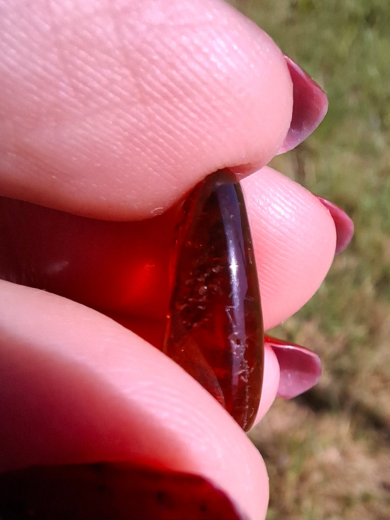 Baltic Amber, 0.94g, Fossil (Ref: A256)