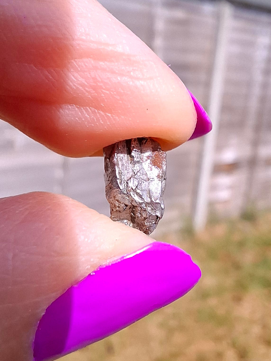 Campo del Cielo, 1.05g, Nickel Iron Meteorite (Ref: C11)