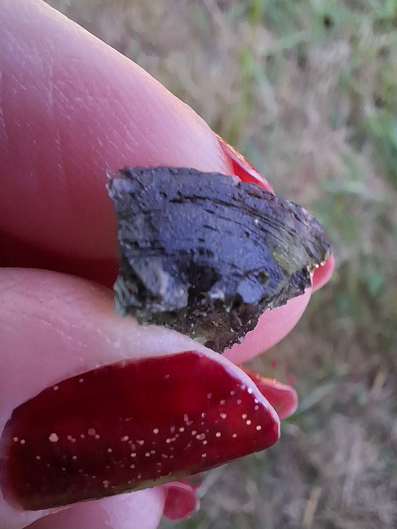 Moldavite Piece, 1.55g, Tektite (Ref: 1469)