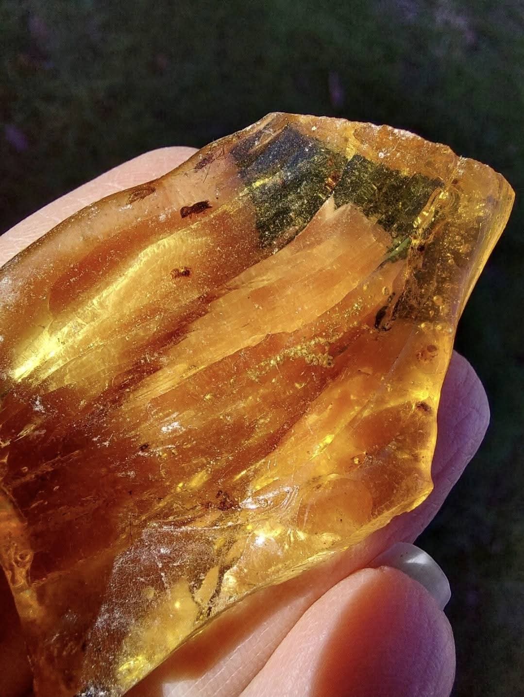 Copal Young Amber with INSECTS inside, 6.42g, Fossil (Ref: CA38)