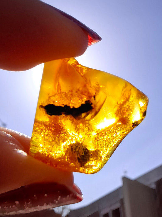 Baltic Amber, 1.74g, Fossil (Ref: A201)