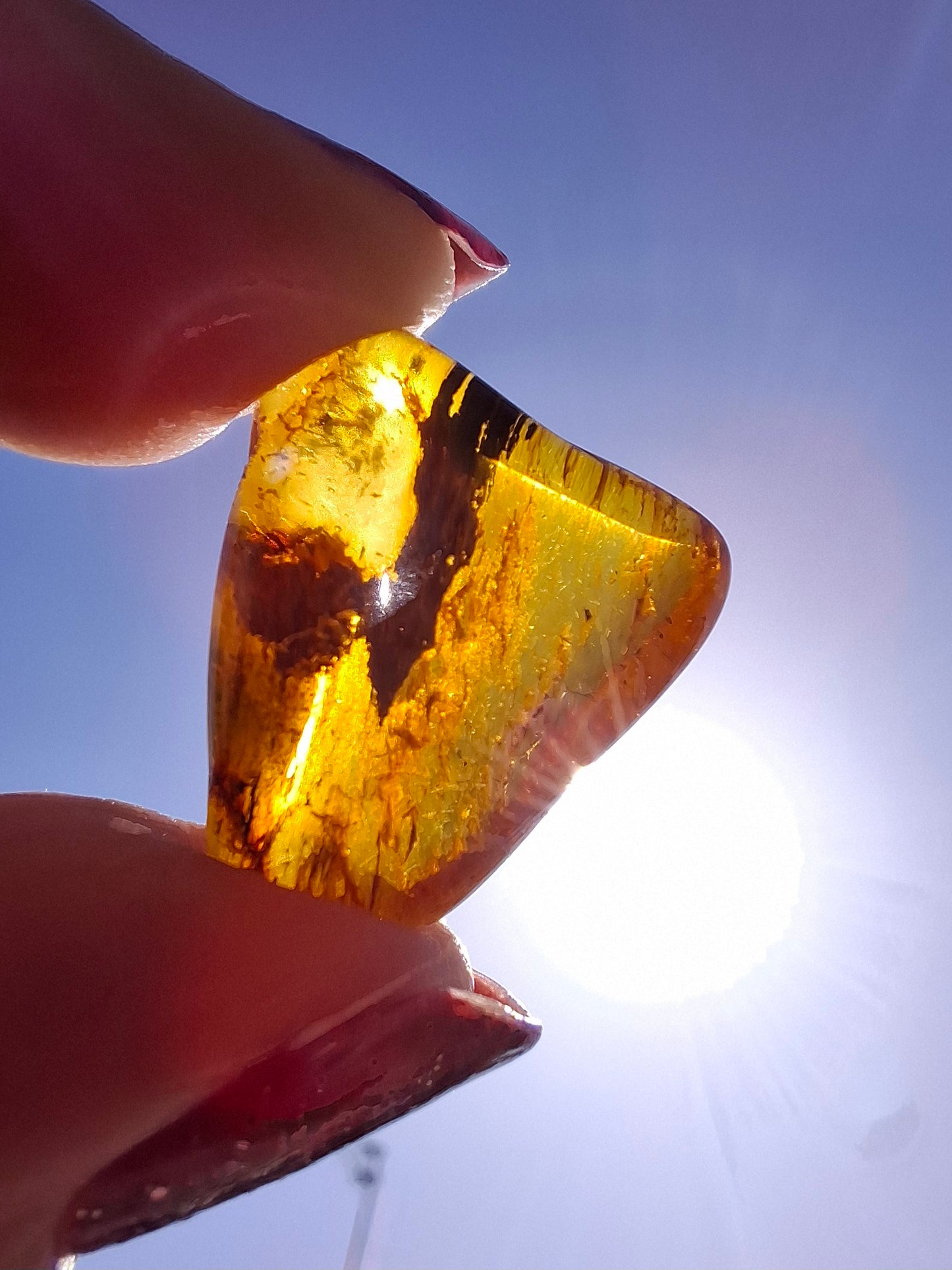Baltic Amber, 1.61g, Fossil (Ref: A186)