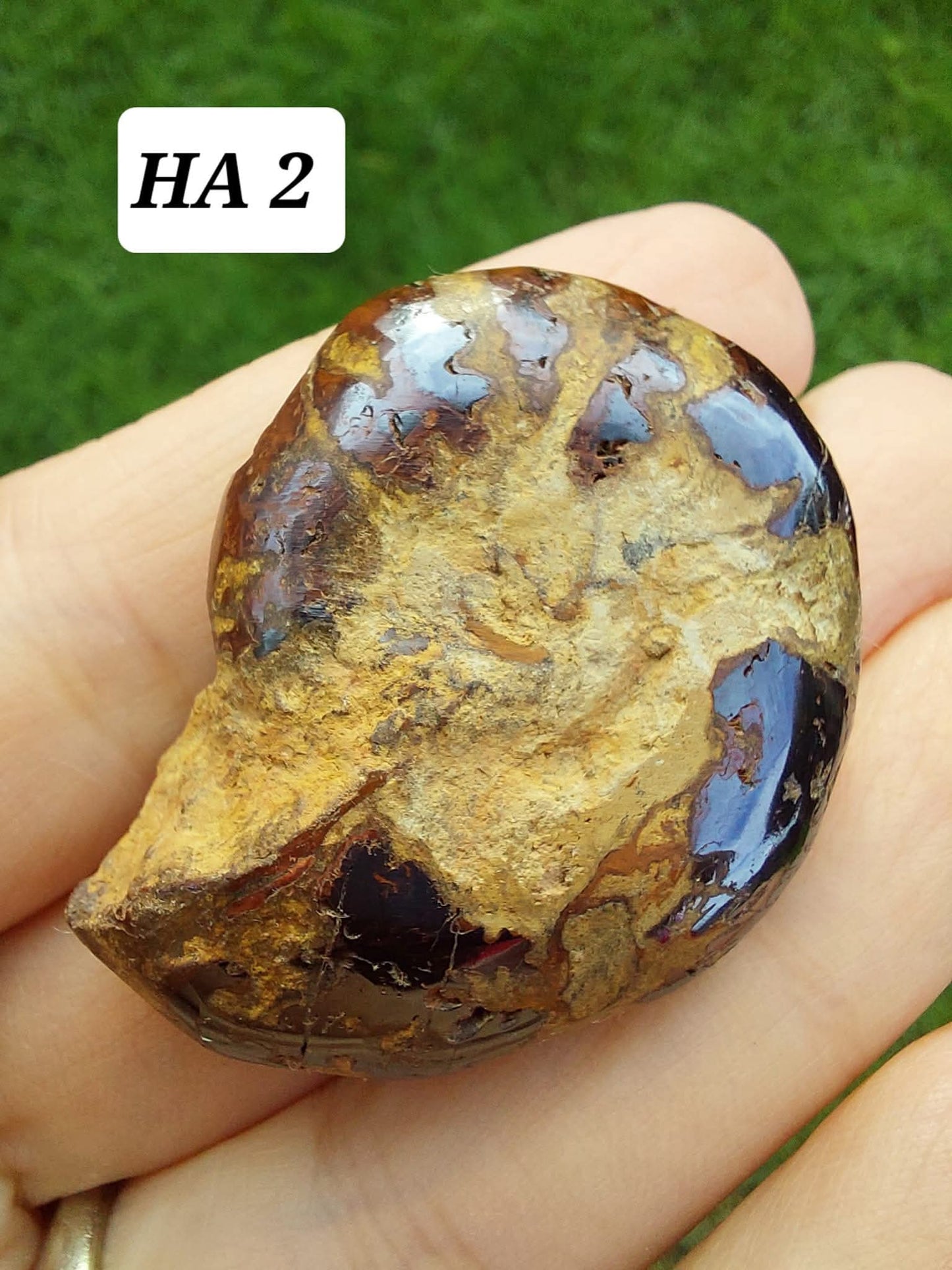 Hematite Ammonite, 22.72g, Fossil (Ref: HA2)