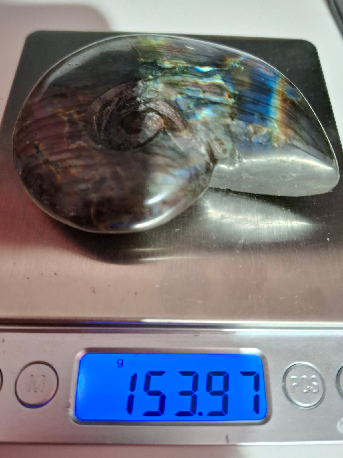 Labradorite Ammonite Carving, 153.97g, Crystal (Ref: laba2)