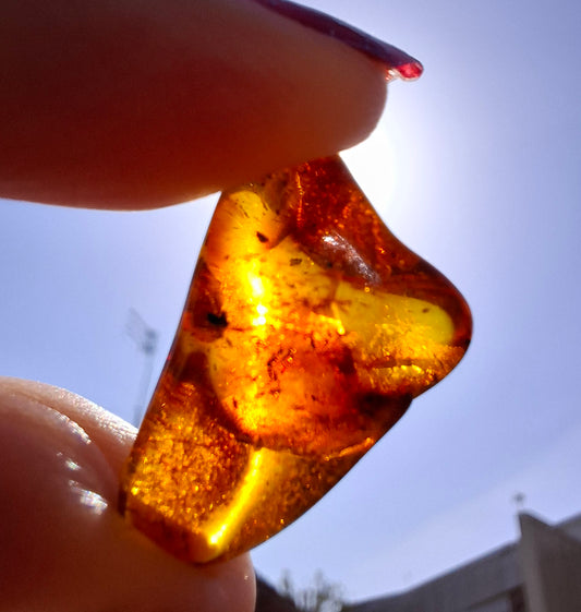 Baltic Amber, 1.47g, Fossil (Ref: A238)