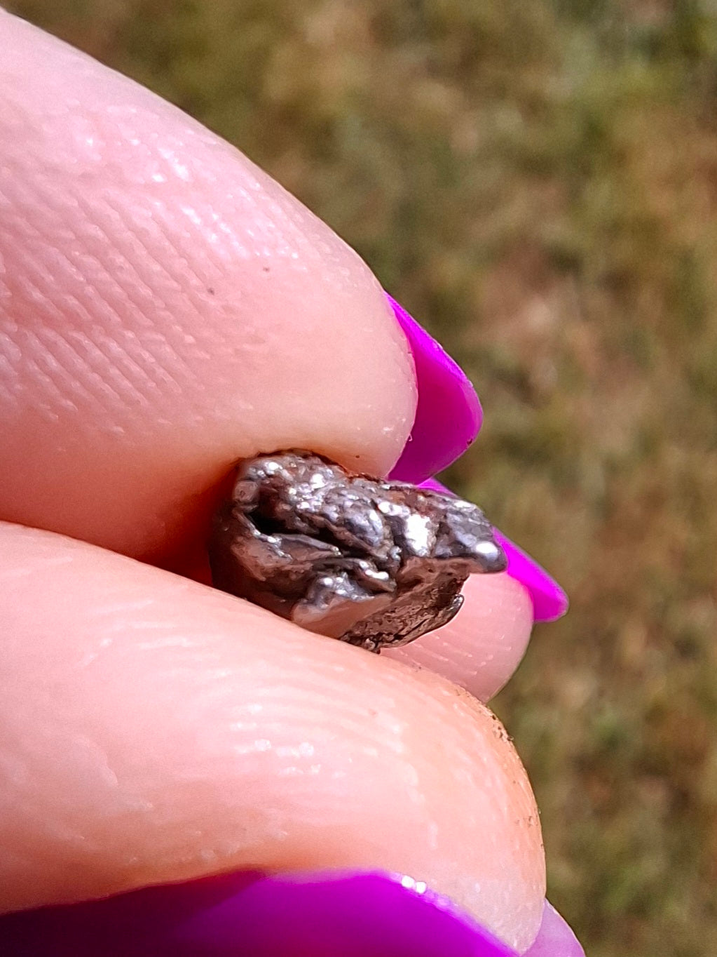 Campo del Cielo, 1.20g, Nickel Iron Meteorite (Ref: C12)
