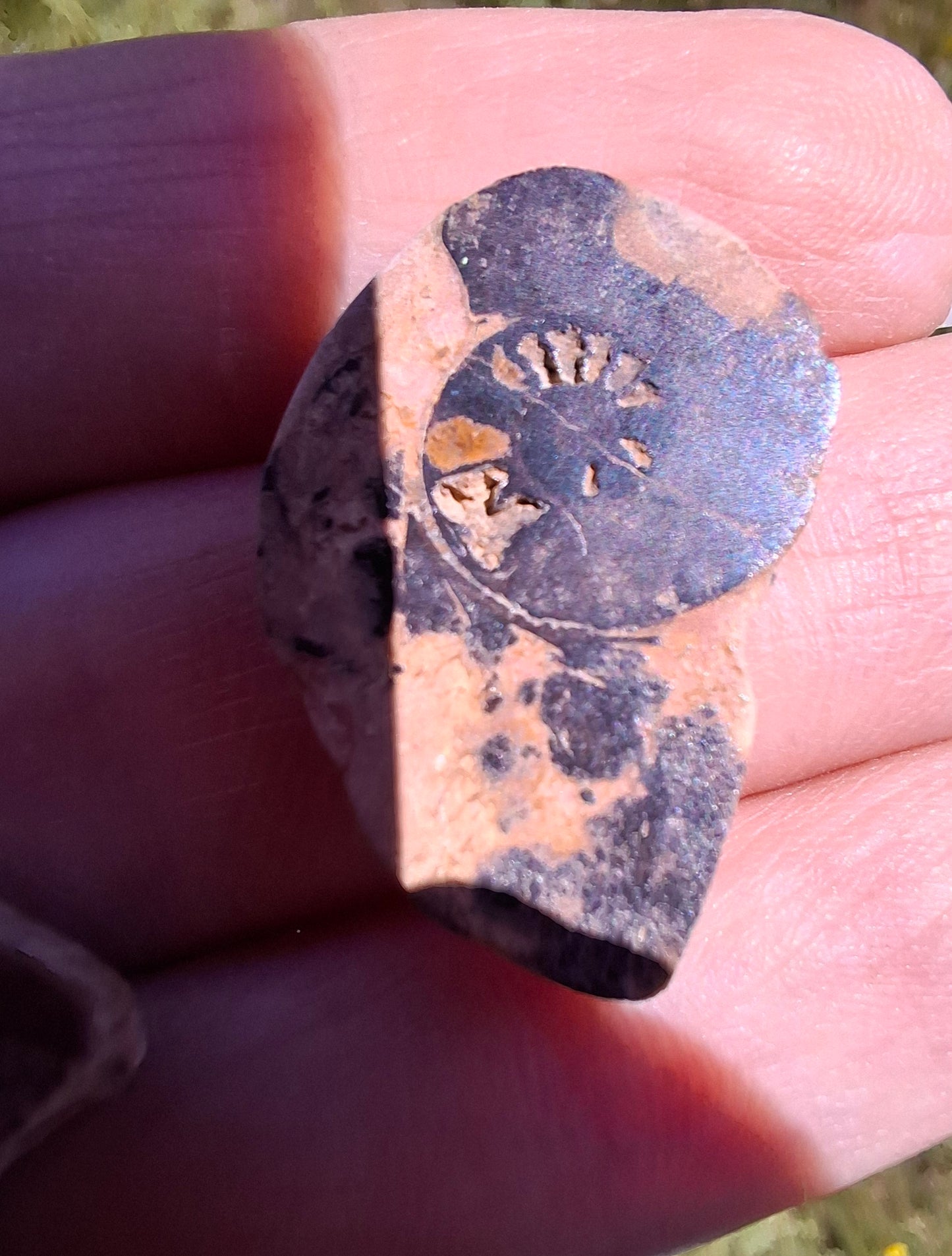Small Haematite Ammonite Halves BUNDLE, (7 pcs), Fossil (Ref: MA13)