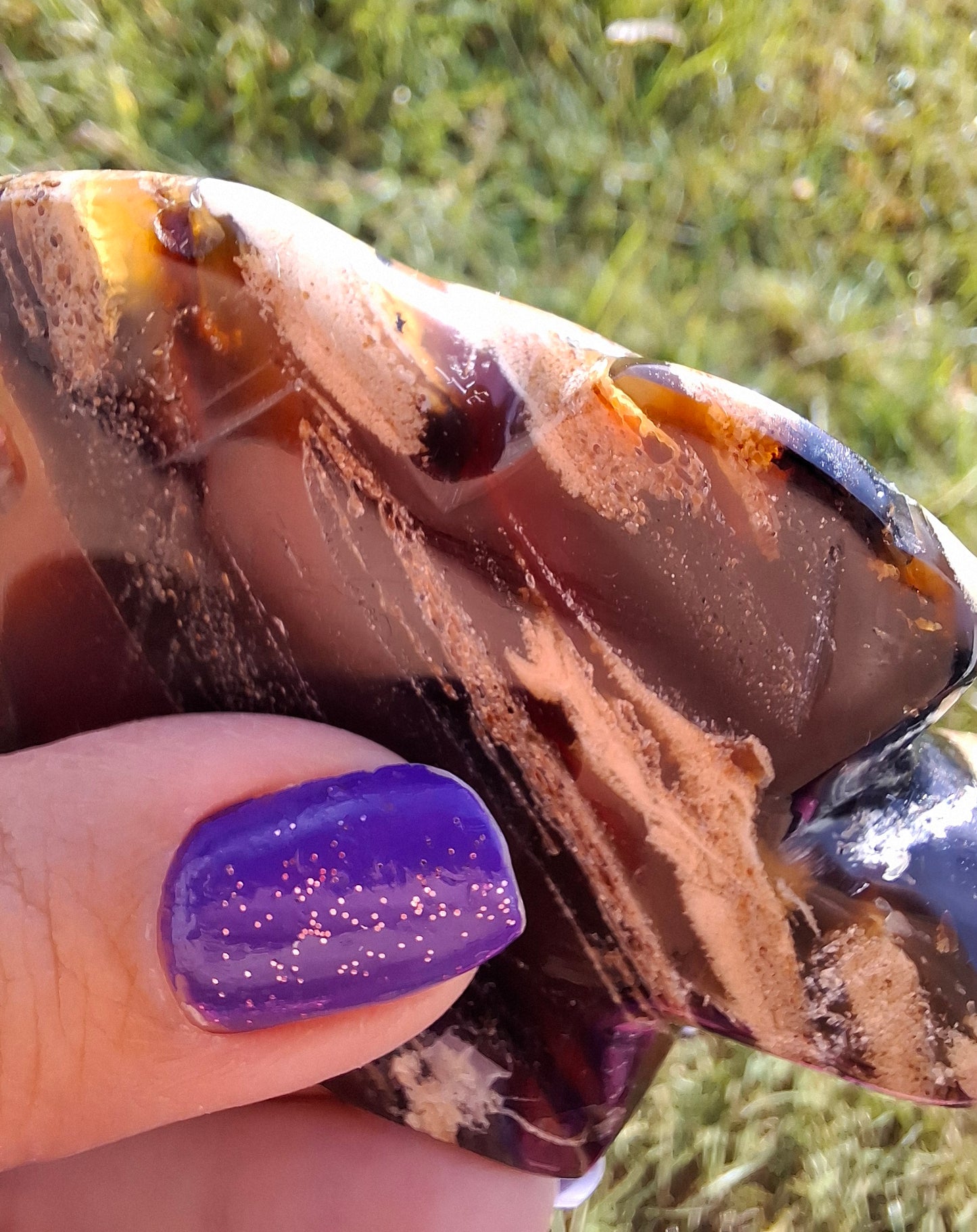 Red Amber Turtle, 50.00g, Carving, Fossil (Ref: TT6)
