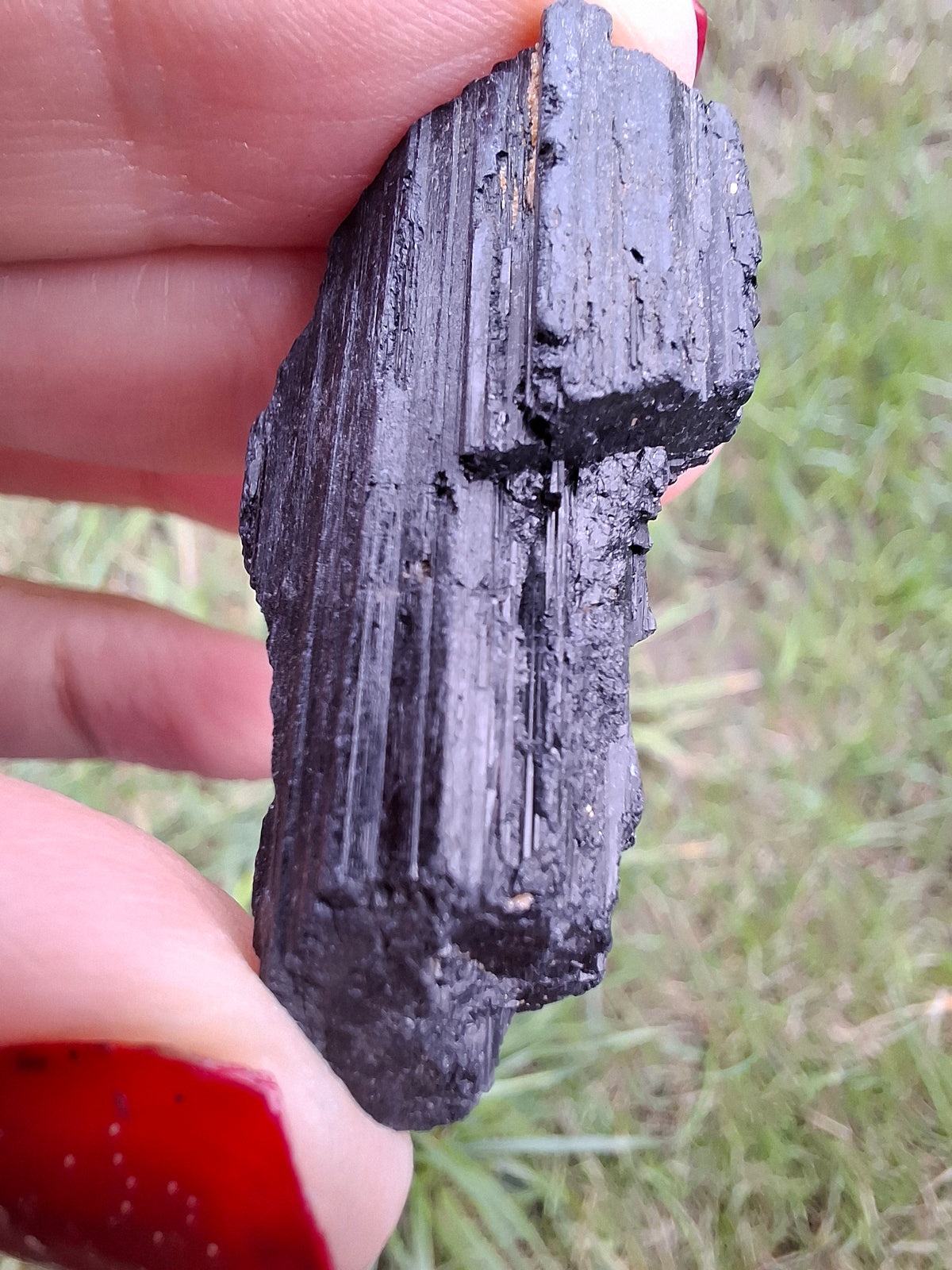 Black Tourmaline RAW, 13.00g, Crystal (Ref: RBT9)