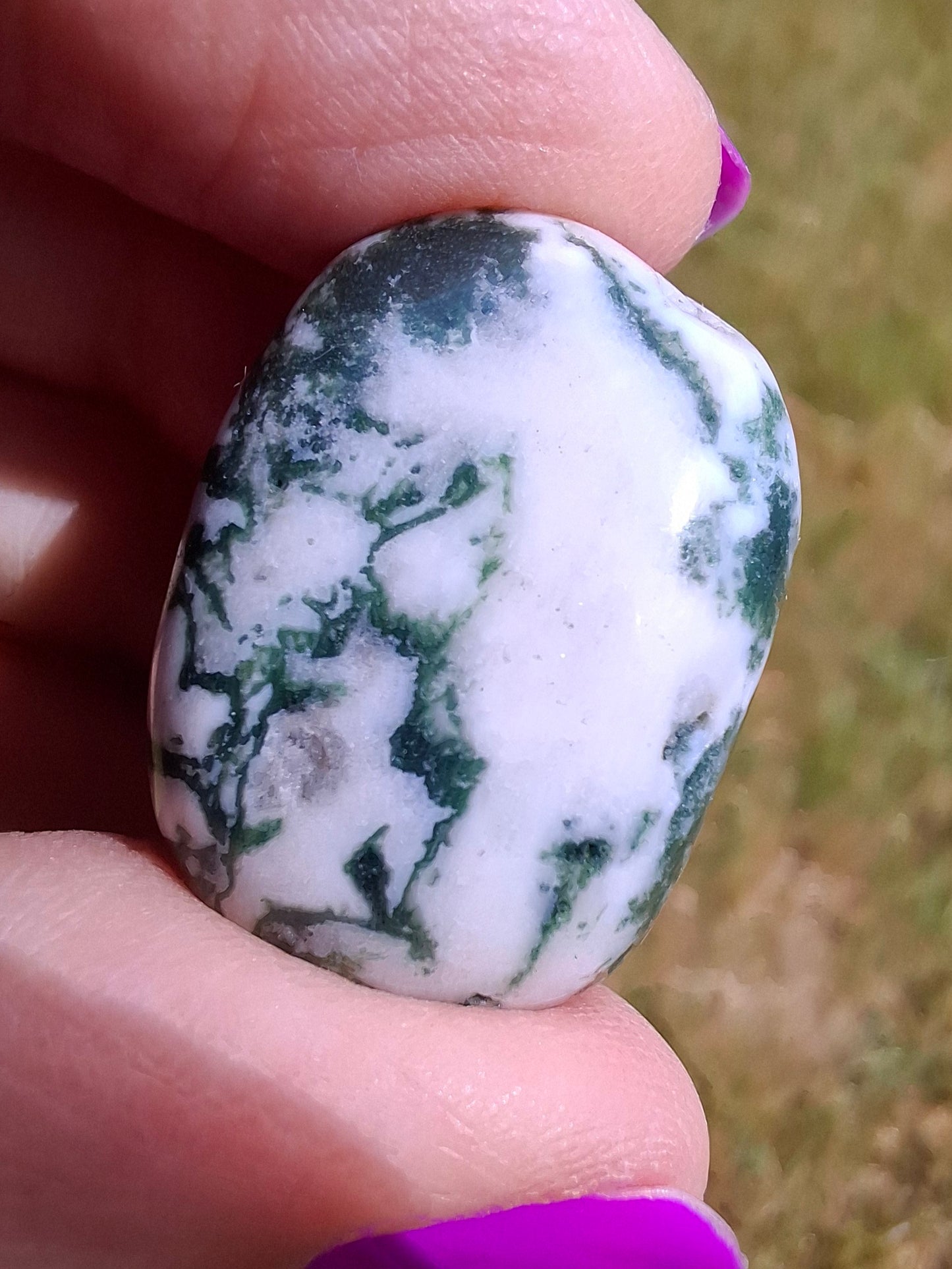 Tree Agate, Tumble Stone, Crystal (Ref: T5)