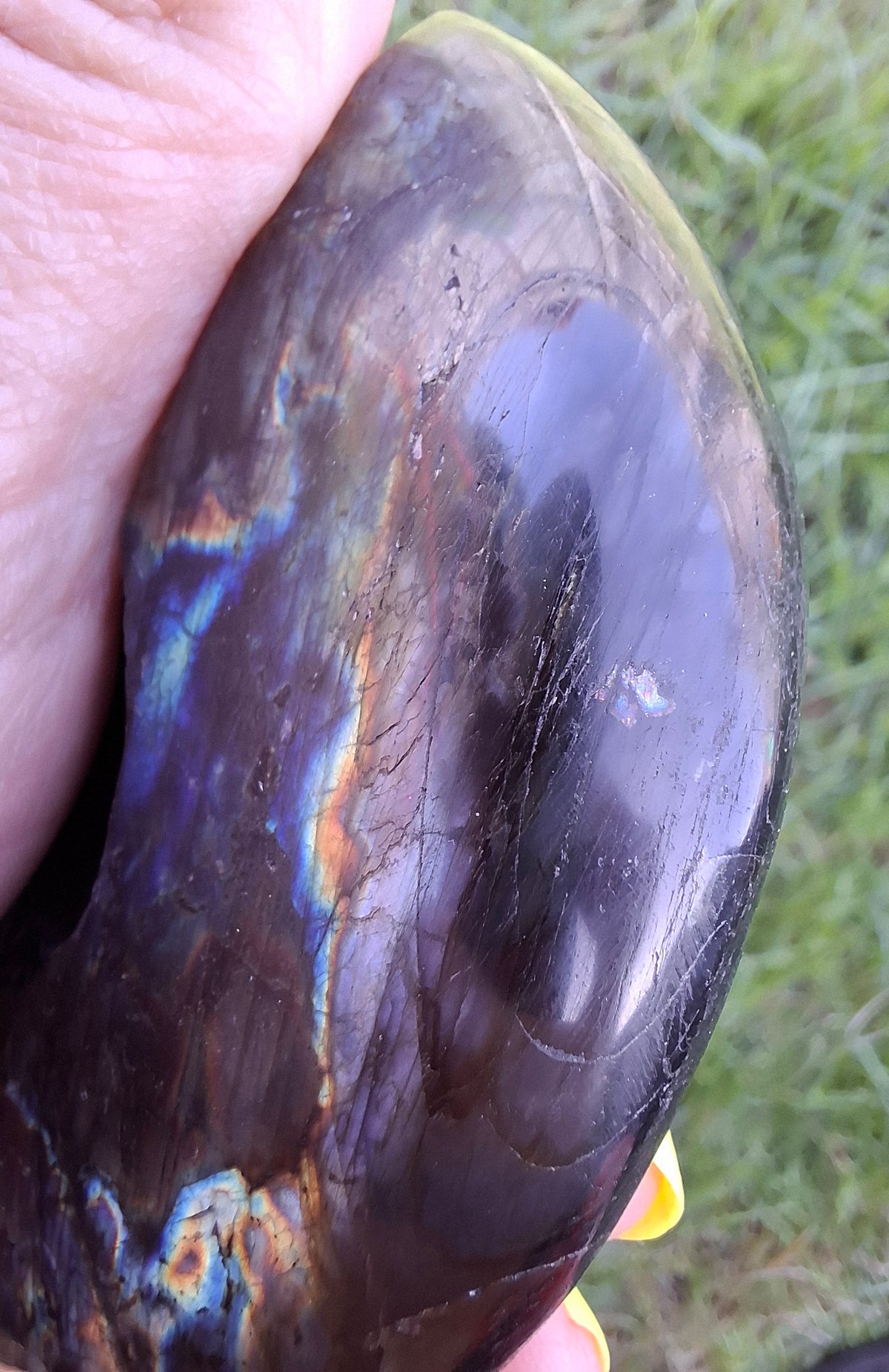 Labradorite Ammonite Carving, 153.97g, Crystal (Ref: laba2)