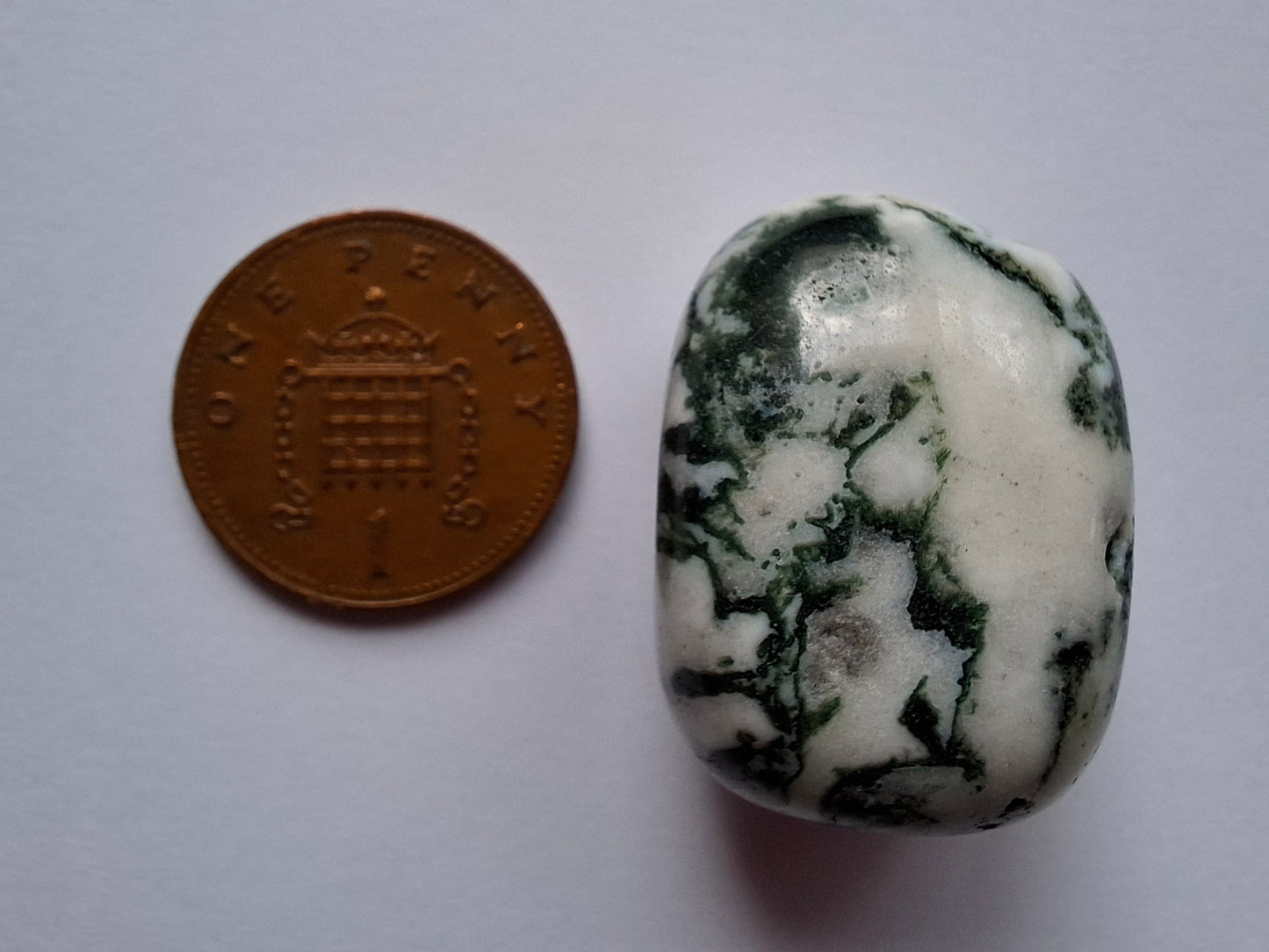 Tree Agate, Tumble Stone, Crystal (Ref: T5)
