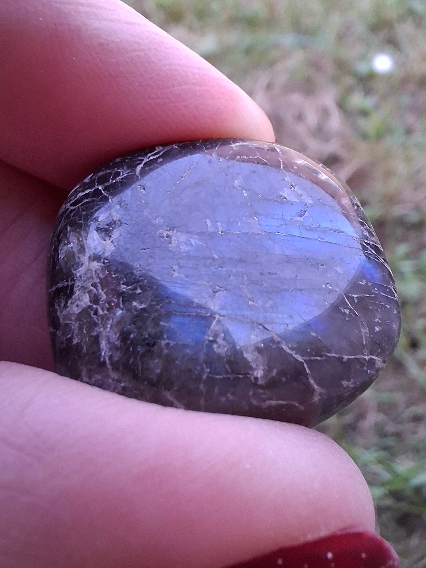 Labradorite, Tumble Stone, Crystal (Ref: T214)
