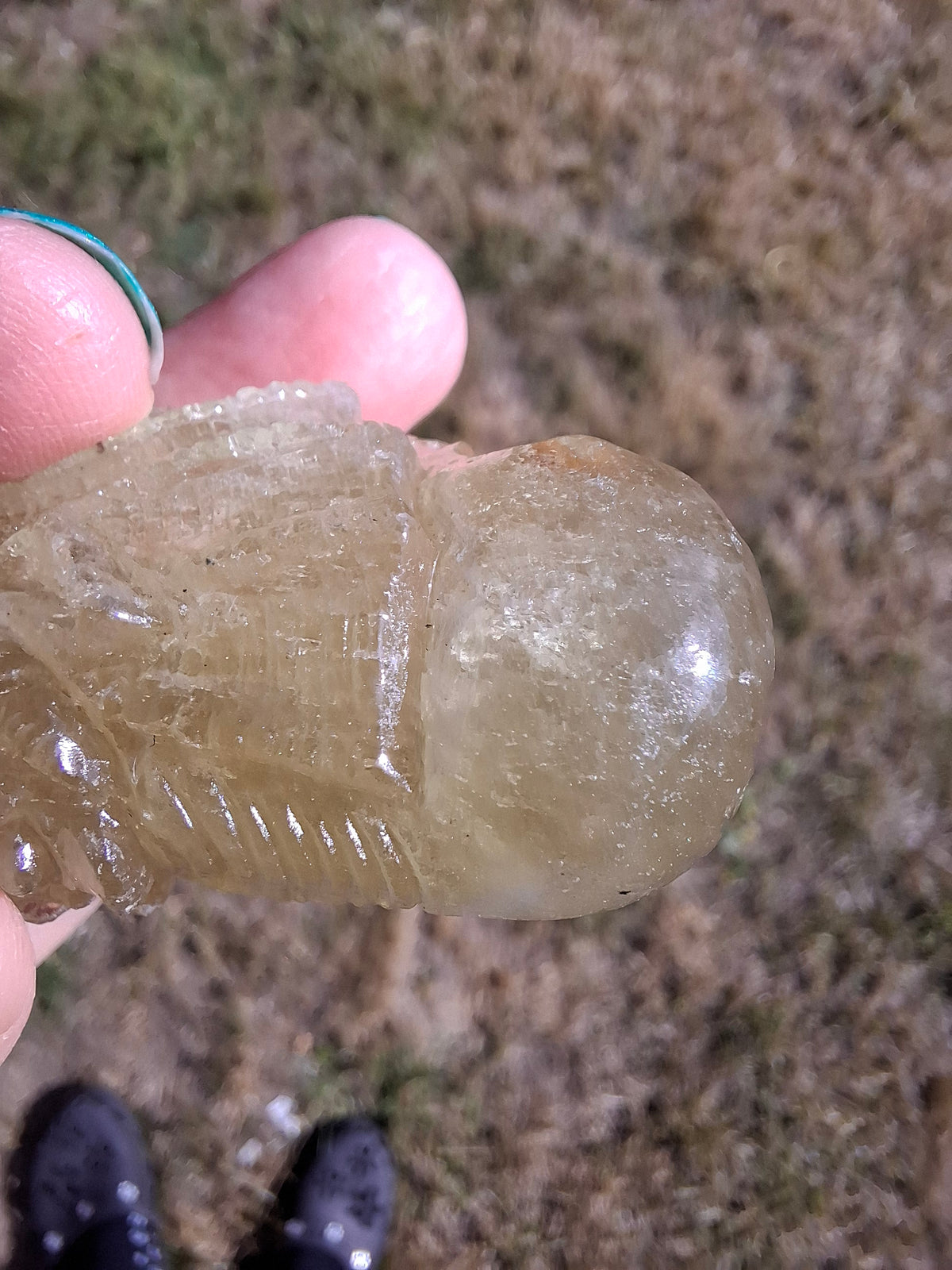 Libyan Desert Glass DRAGON HEAD carving, 48.11g, Tektite (Ref: Dragon4)