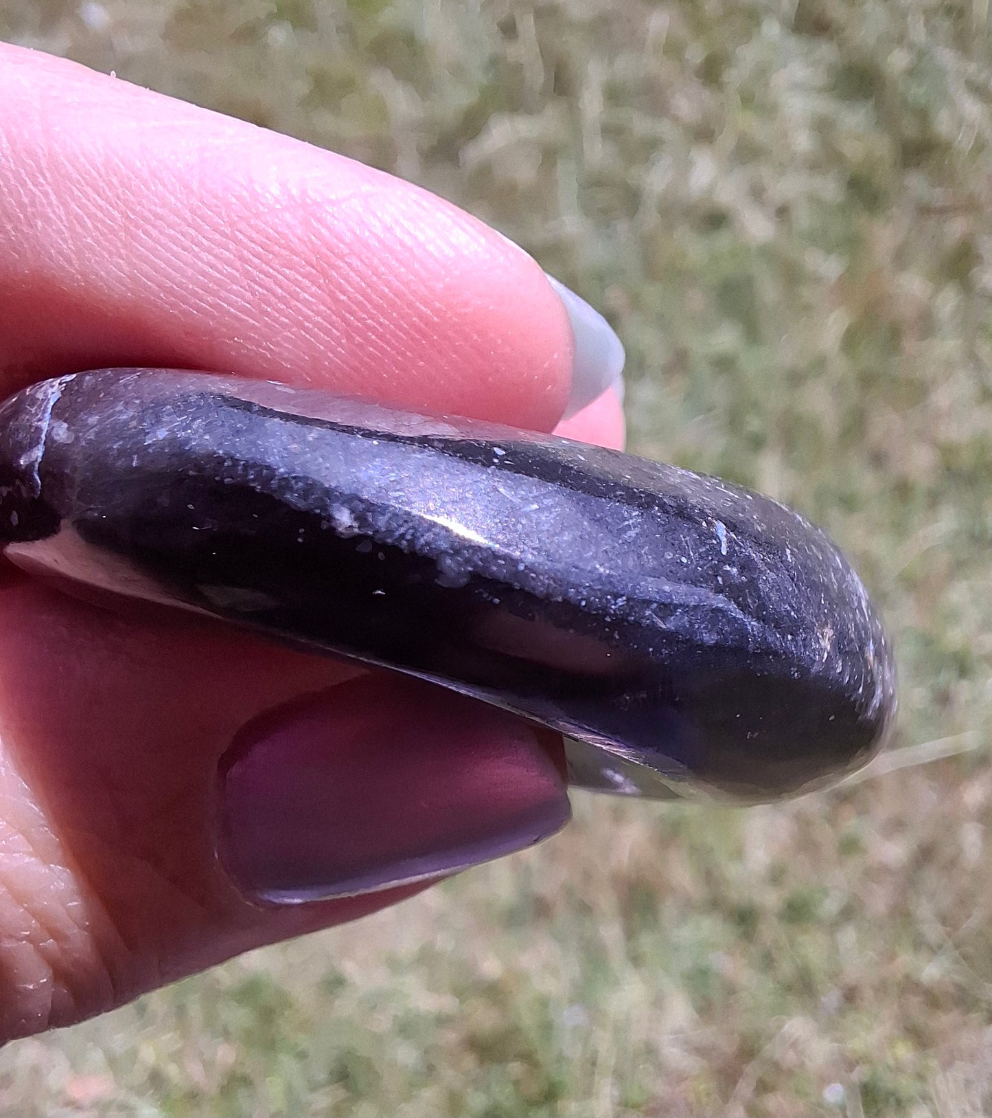 Goniatite, Fossil (Ref: GA8)