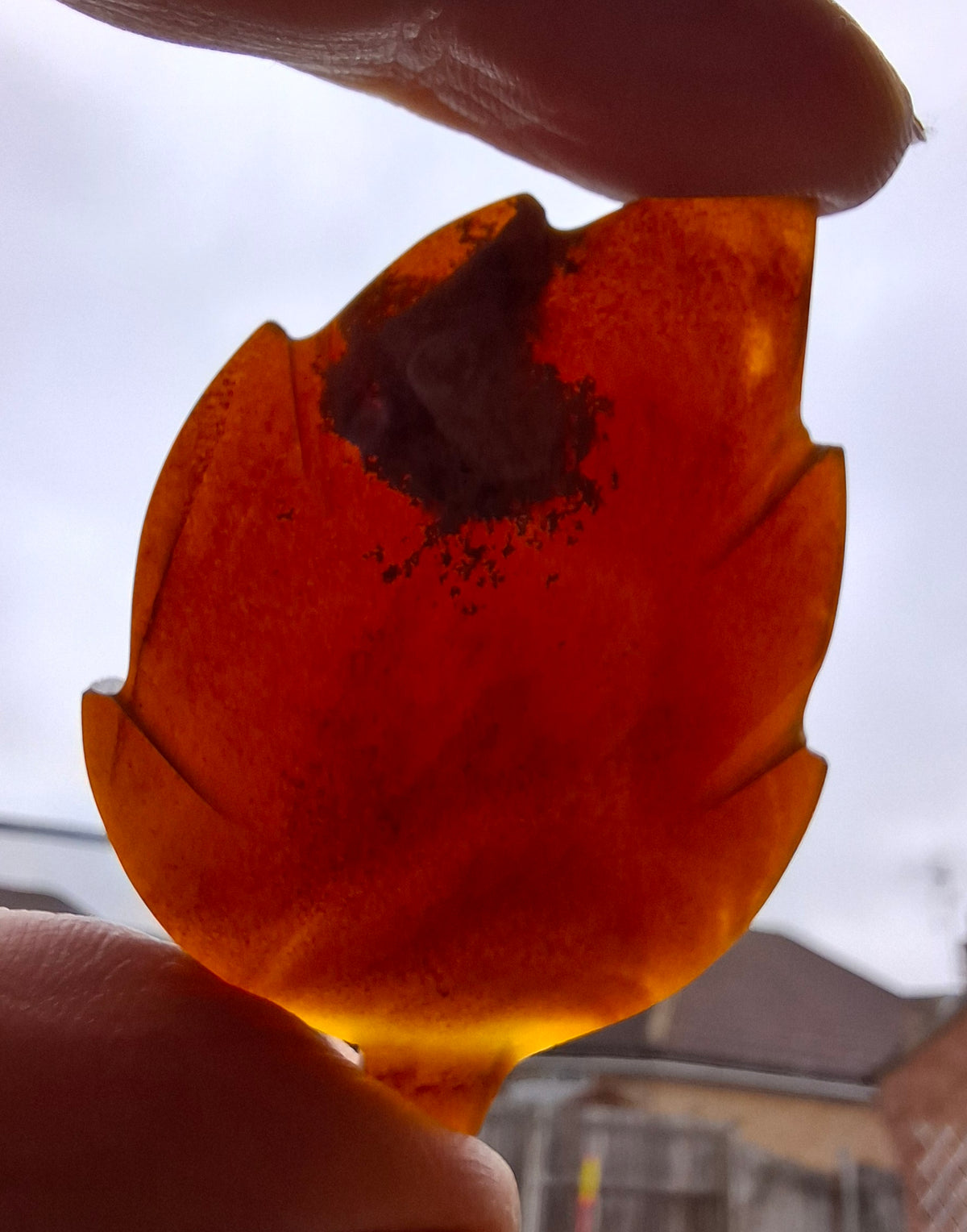 Red Amber Leaf Carving, 7.65g, Fossil (Ref: Leaf9)