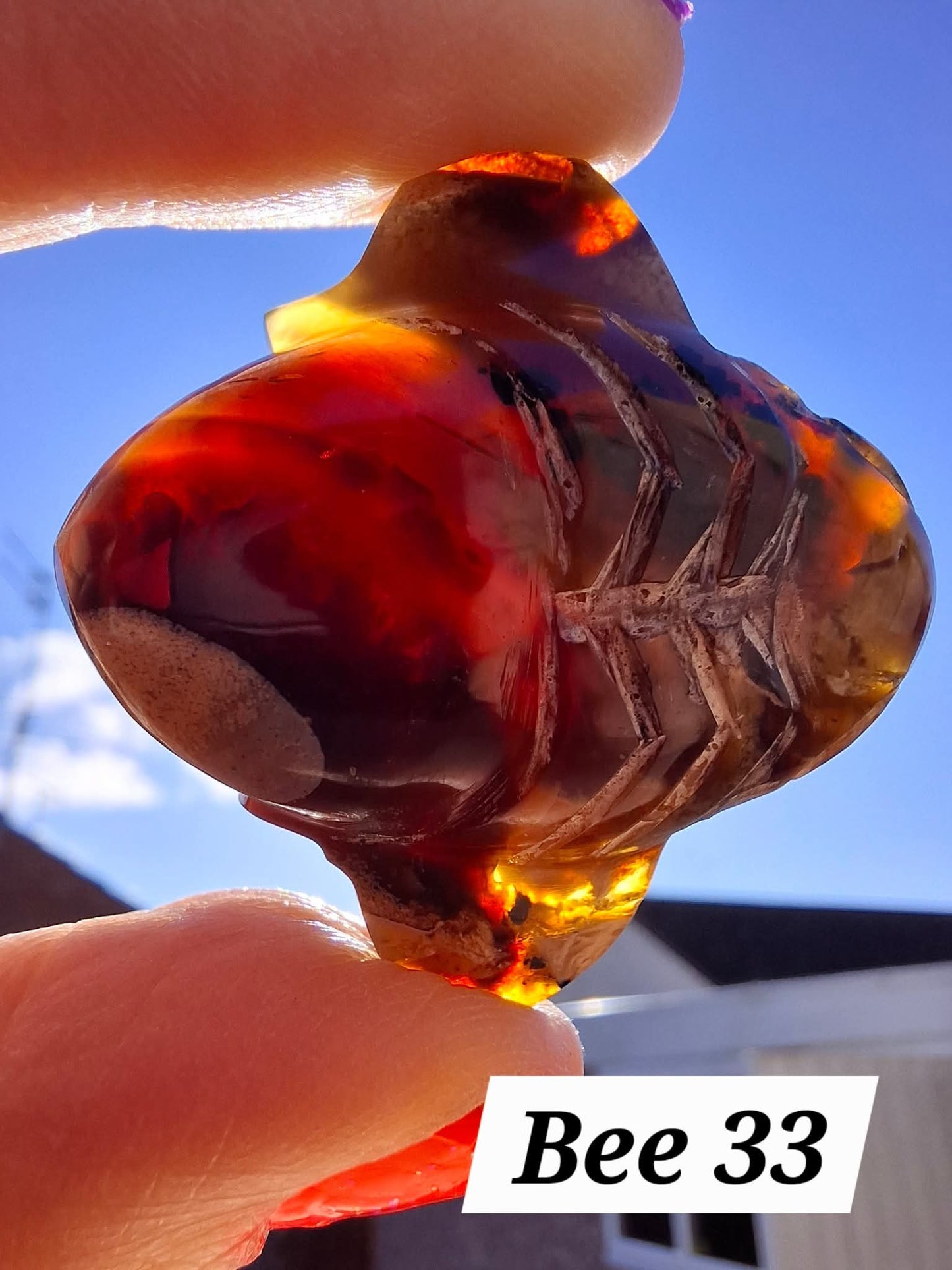Red Amber Honey Bee Carving, 6.93g, Fossil (Ref: Bee33)