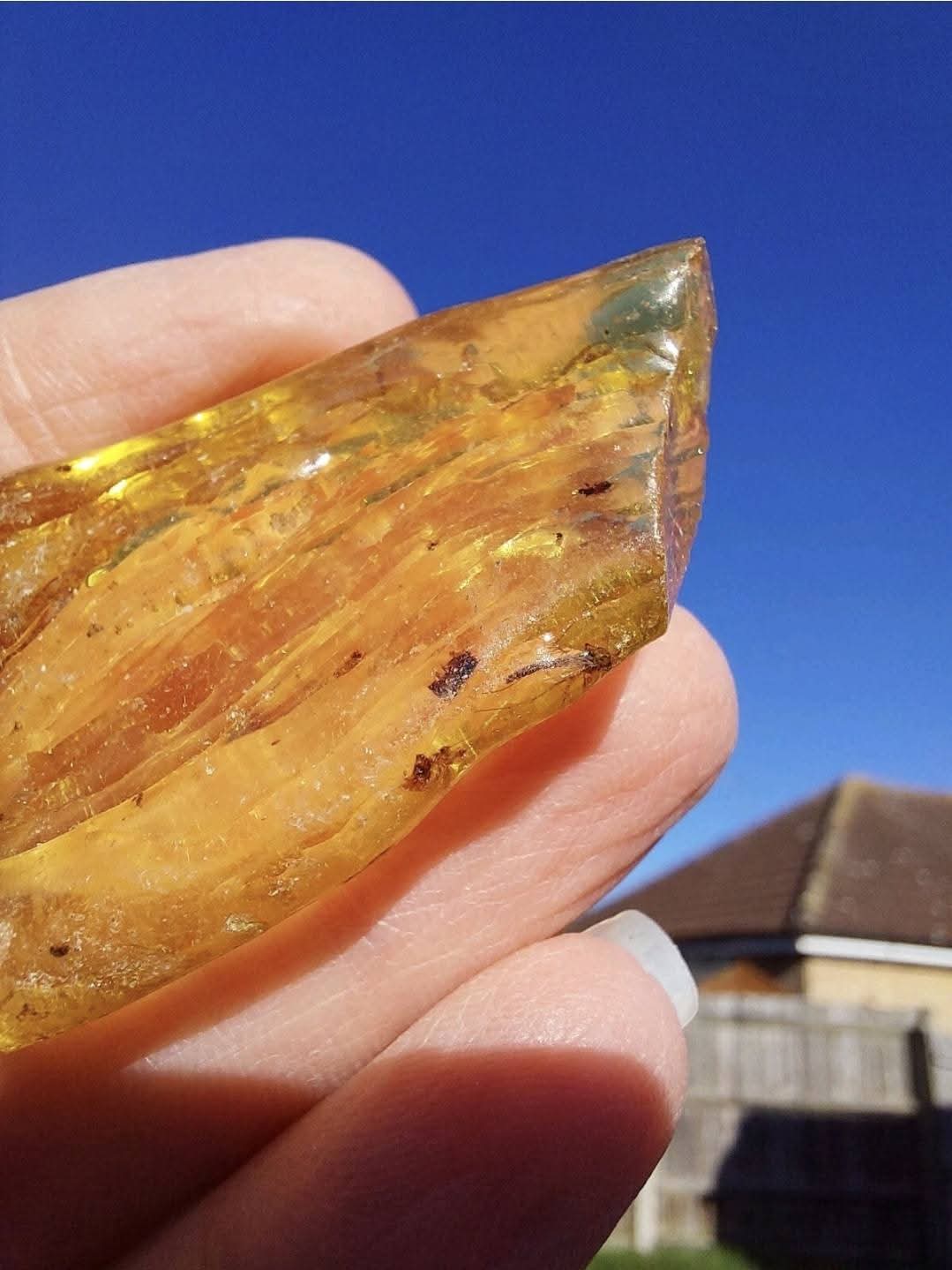 Copal Young Amber with INSECTS inside, 6.42g, Fossil (Ref: CA38)