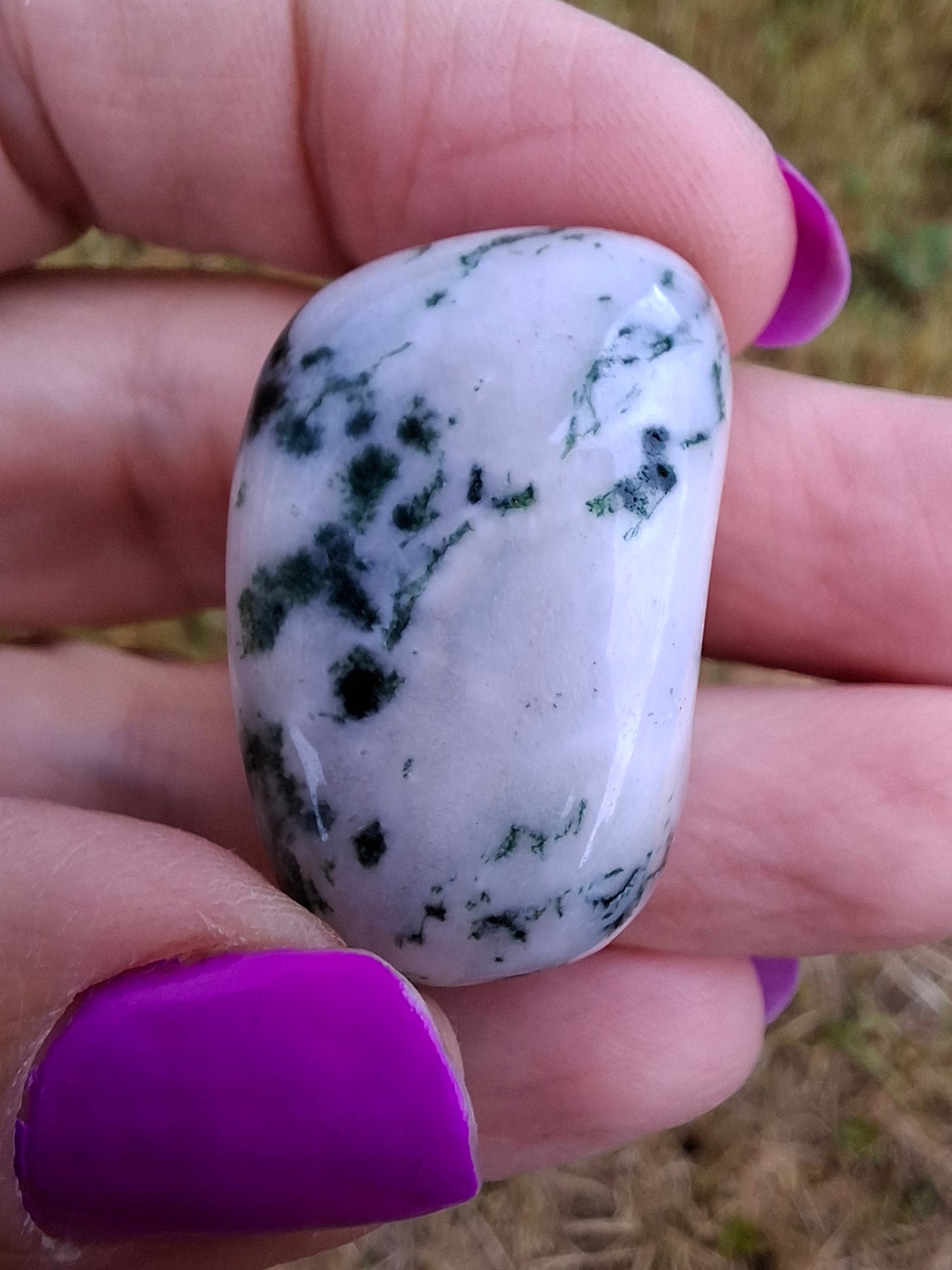 Tree Agate, Tumble Stone, Crystal (Ref: T1)