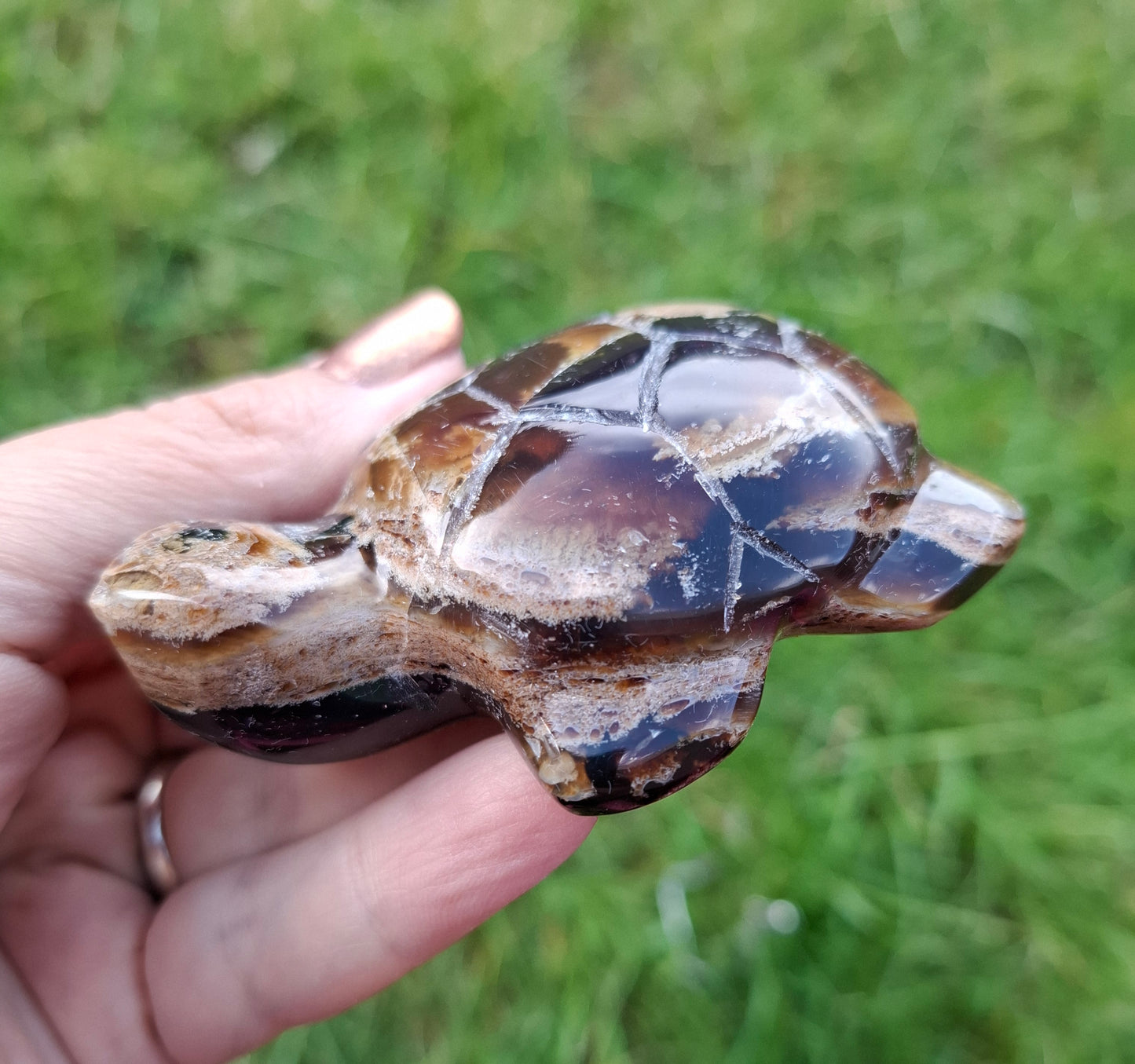 Red Amber Turtle, 56.87g, Carving, Fossil (Ref:TT7)