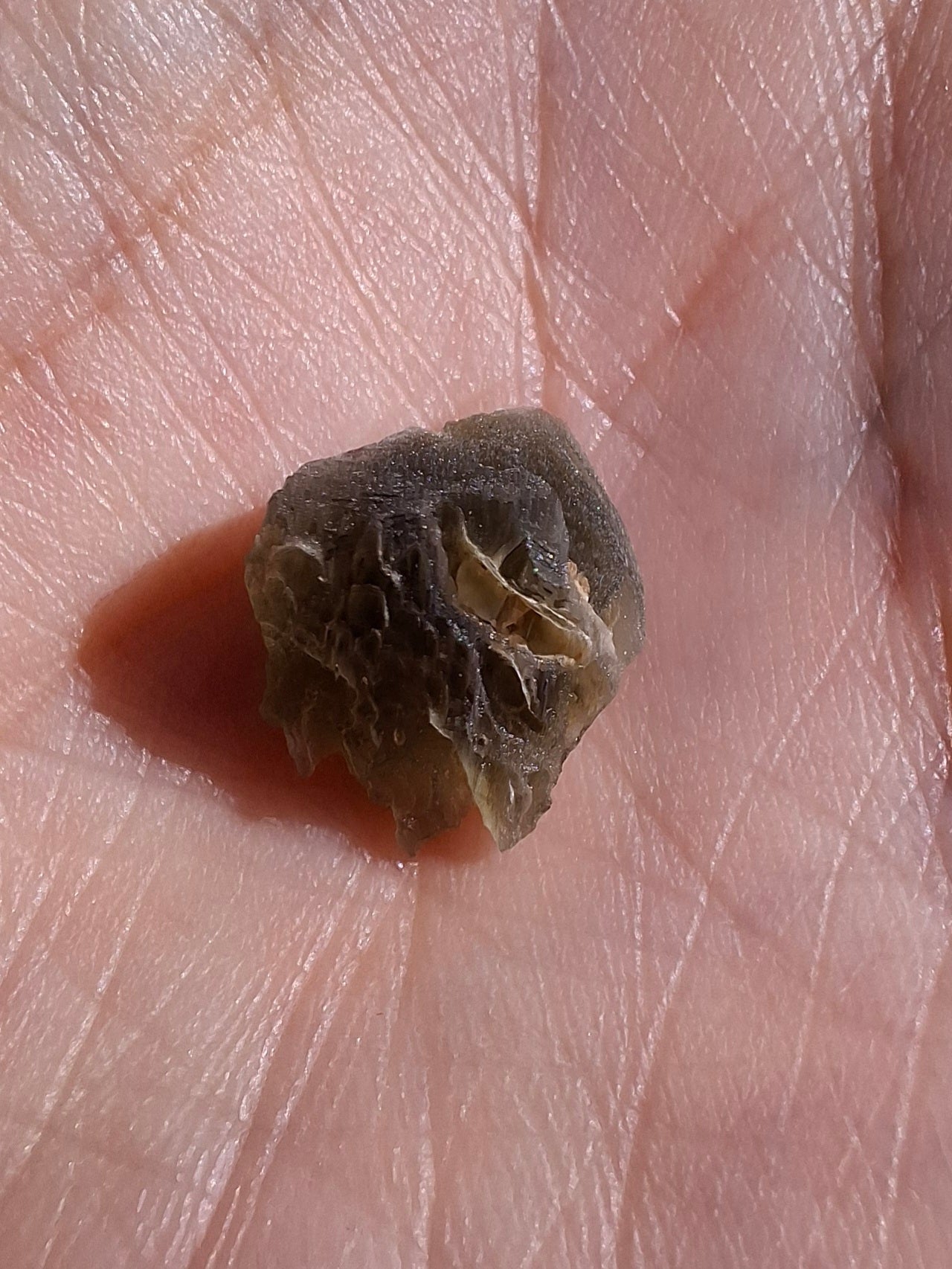 Moldavite Piece, 0.85g, Tektite (Ref: 1462)