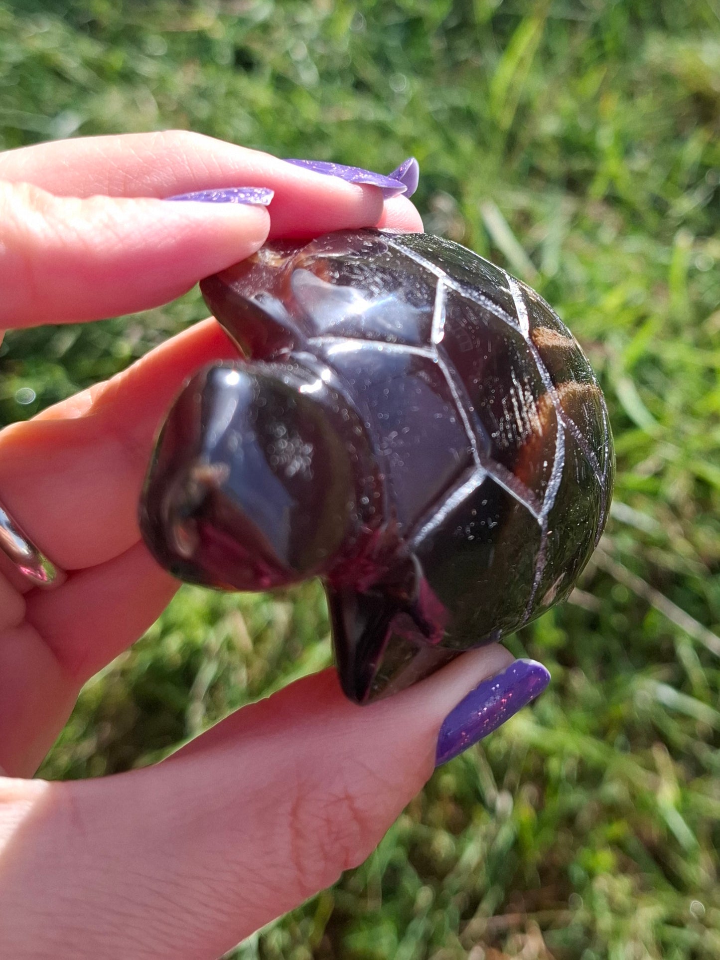 Red Amber Turtle, 52.00g, Carving, Fossil (Ref: TT3)