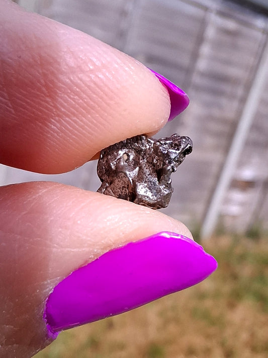 Campo del Cielo, 1.00g, Nickel Iron Meteorite (Ref: C6)