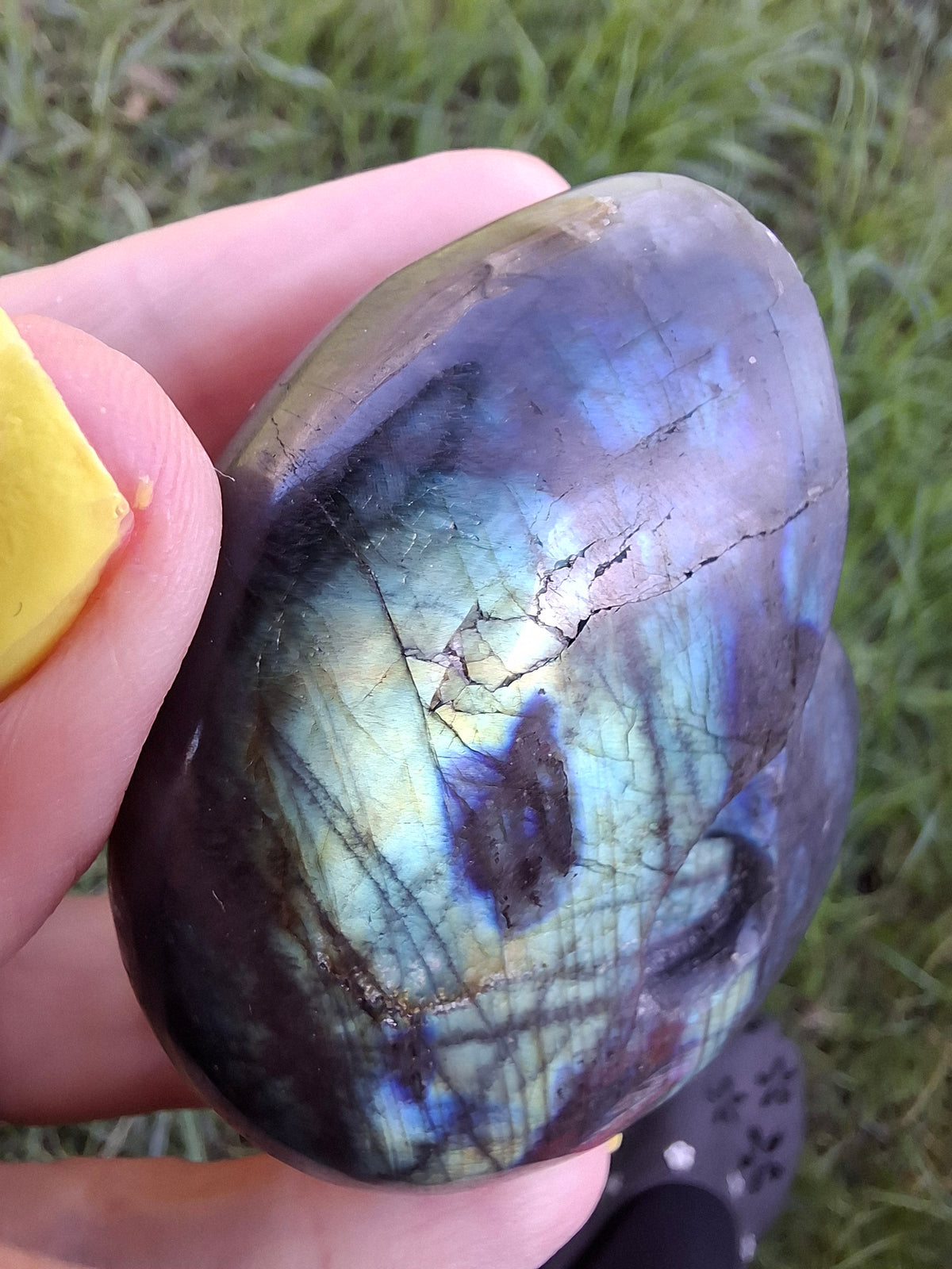 Labradorite Ammonite Carving, 111.66g, Crystal (Ref: laba3)